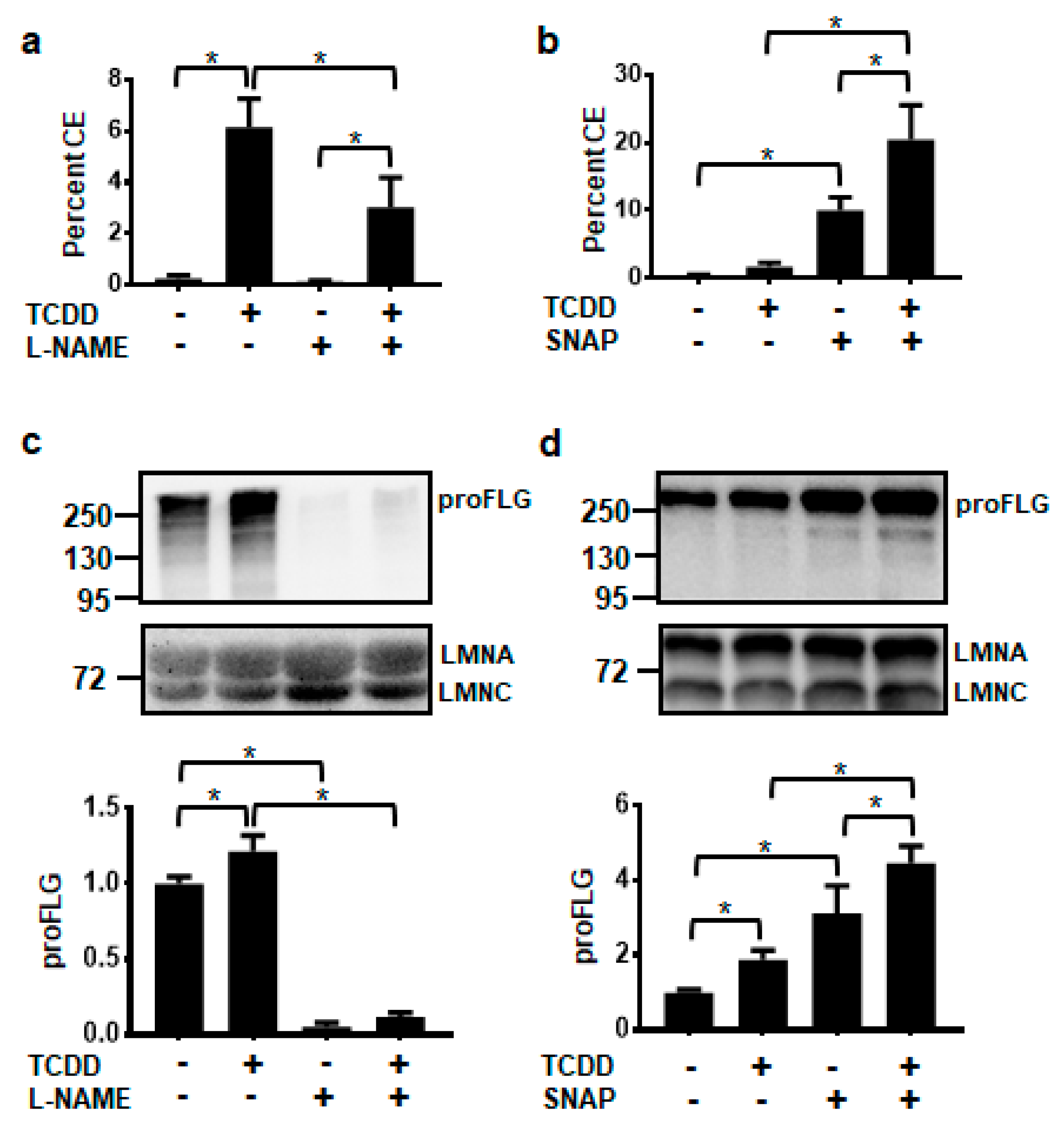 Ijms 21 05680 g003 Ijms 21 05680 g003