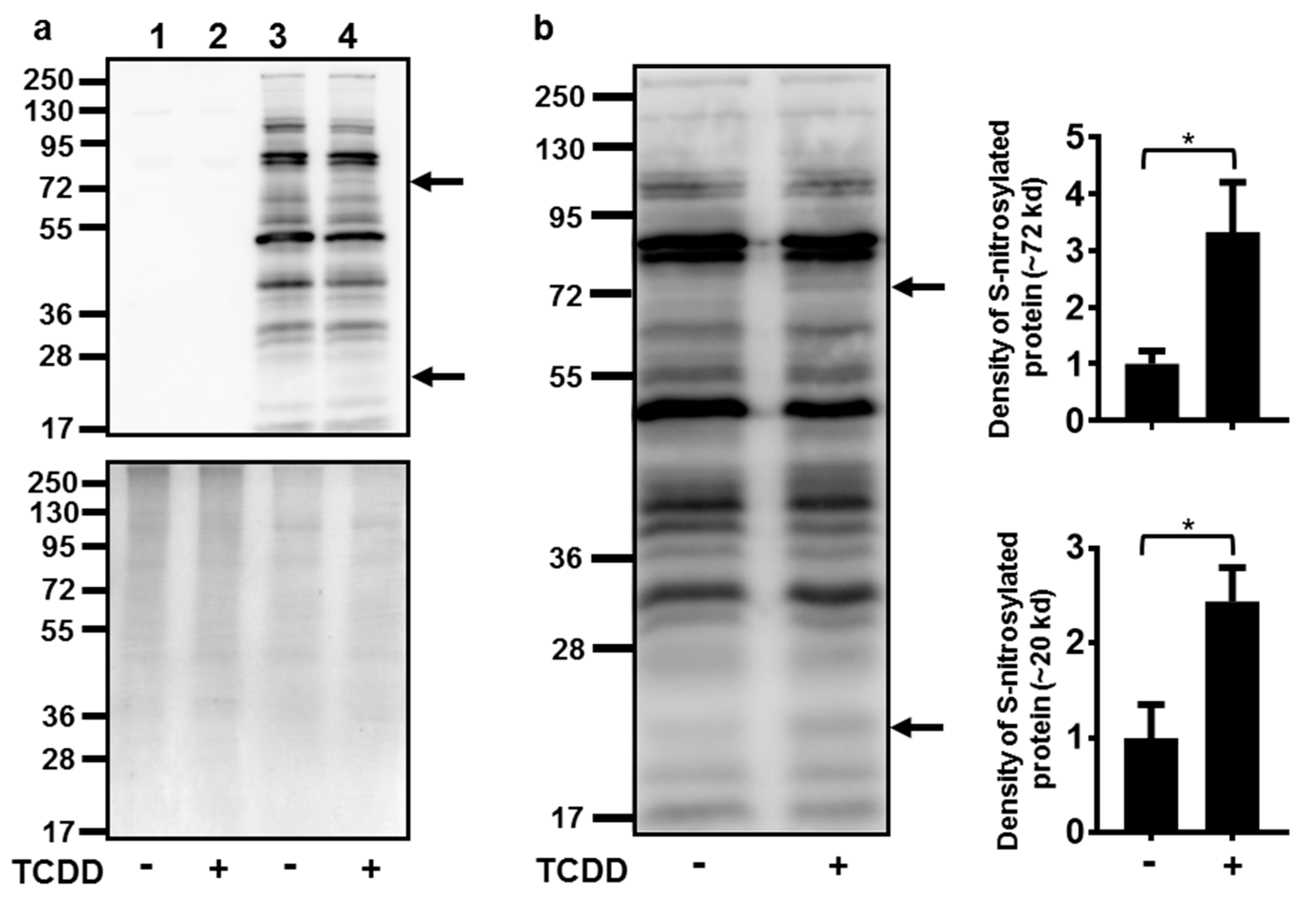 Ijms 21 05680 g004 Ijms 21 05680 g004