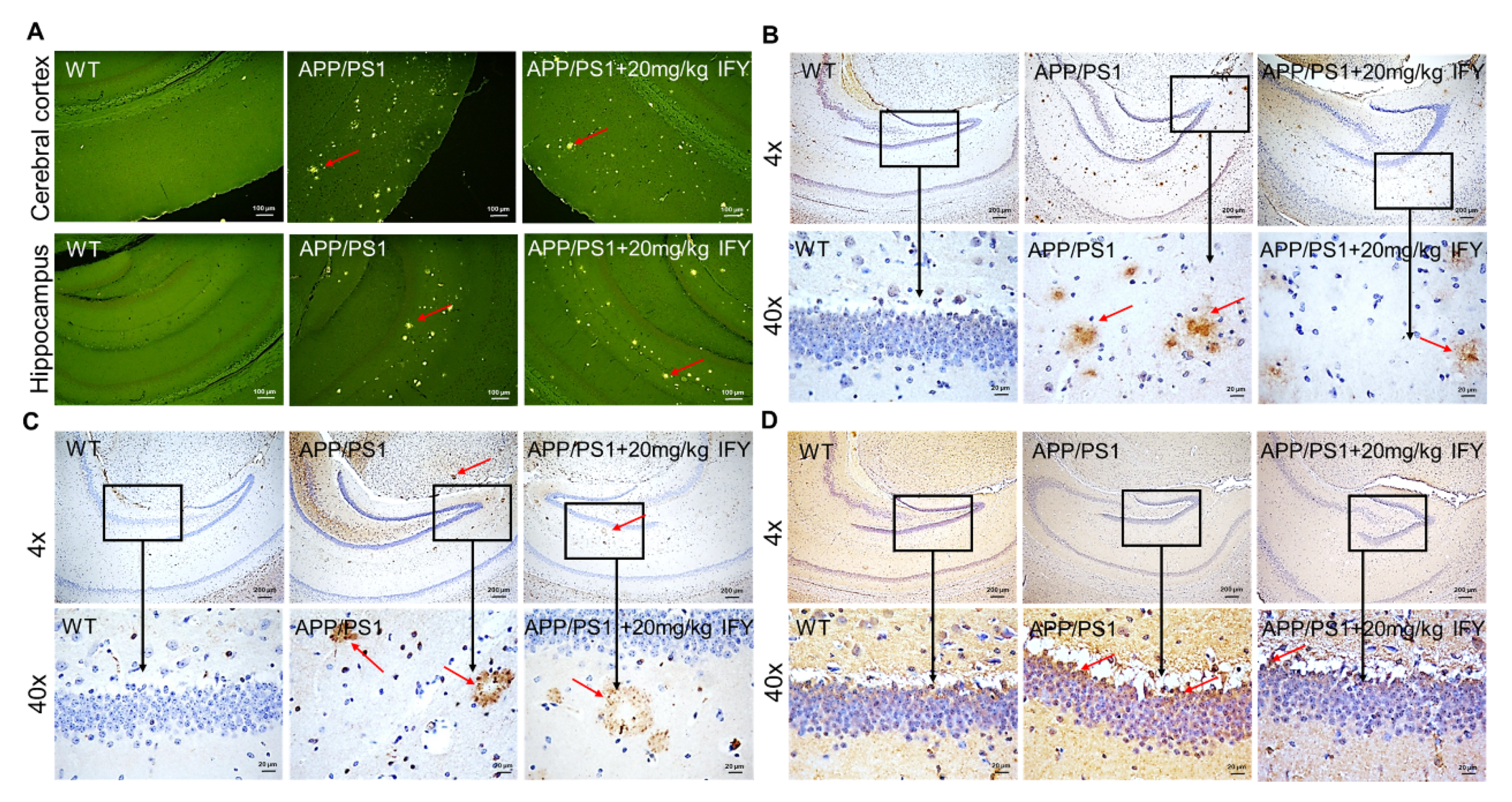 Ijms 21 05687 g003 Ijms 21 05687 g003
