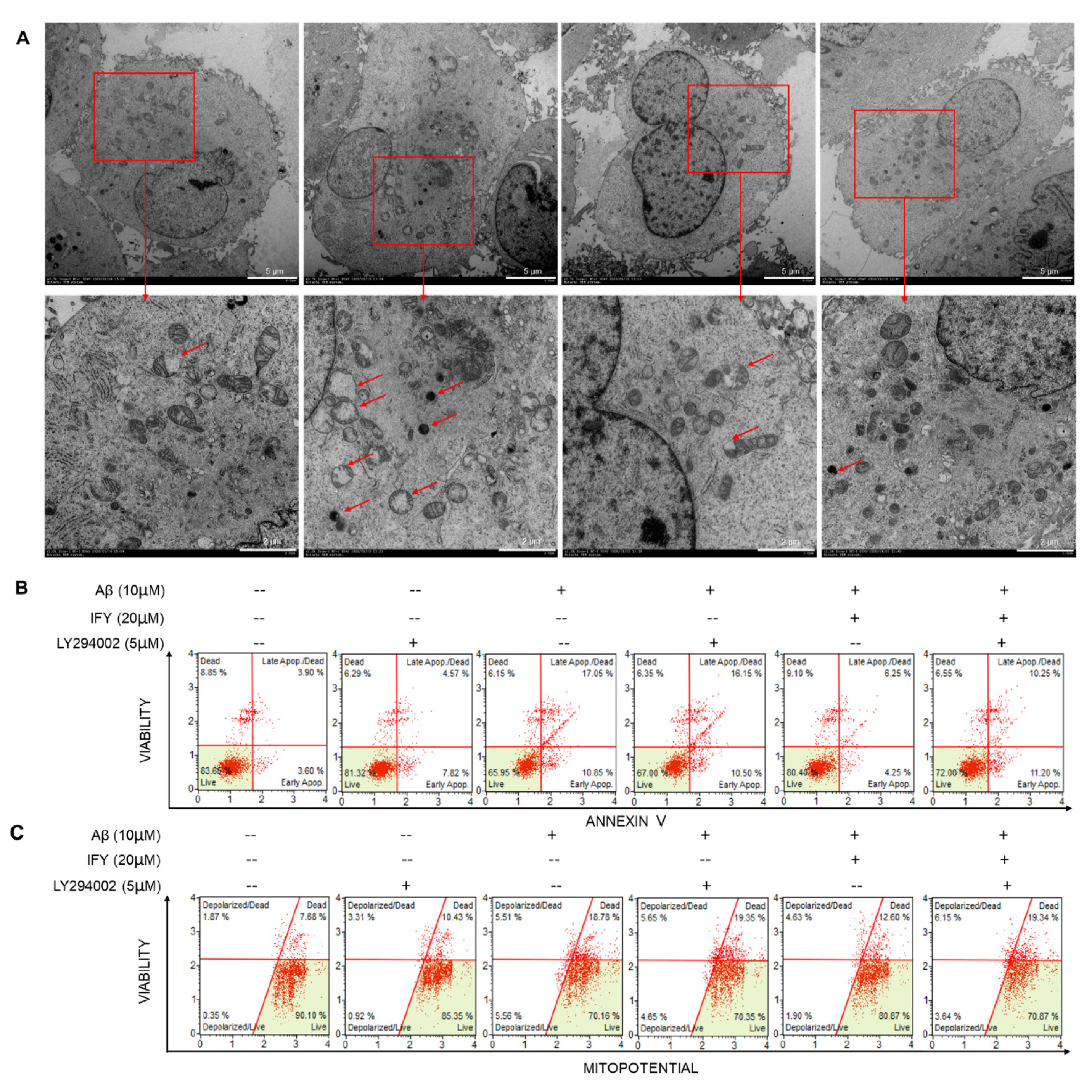 Ijms 21 05687 g006 Ijms 21 05687 g006