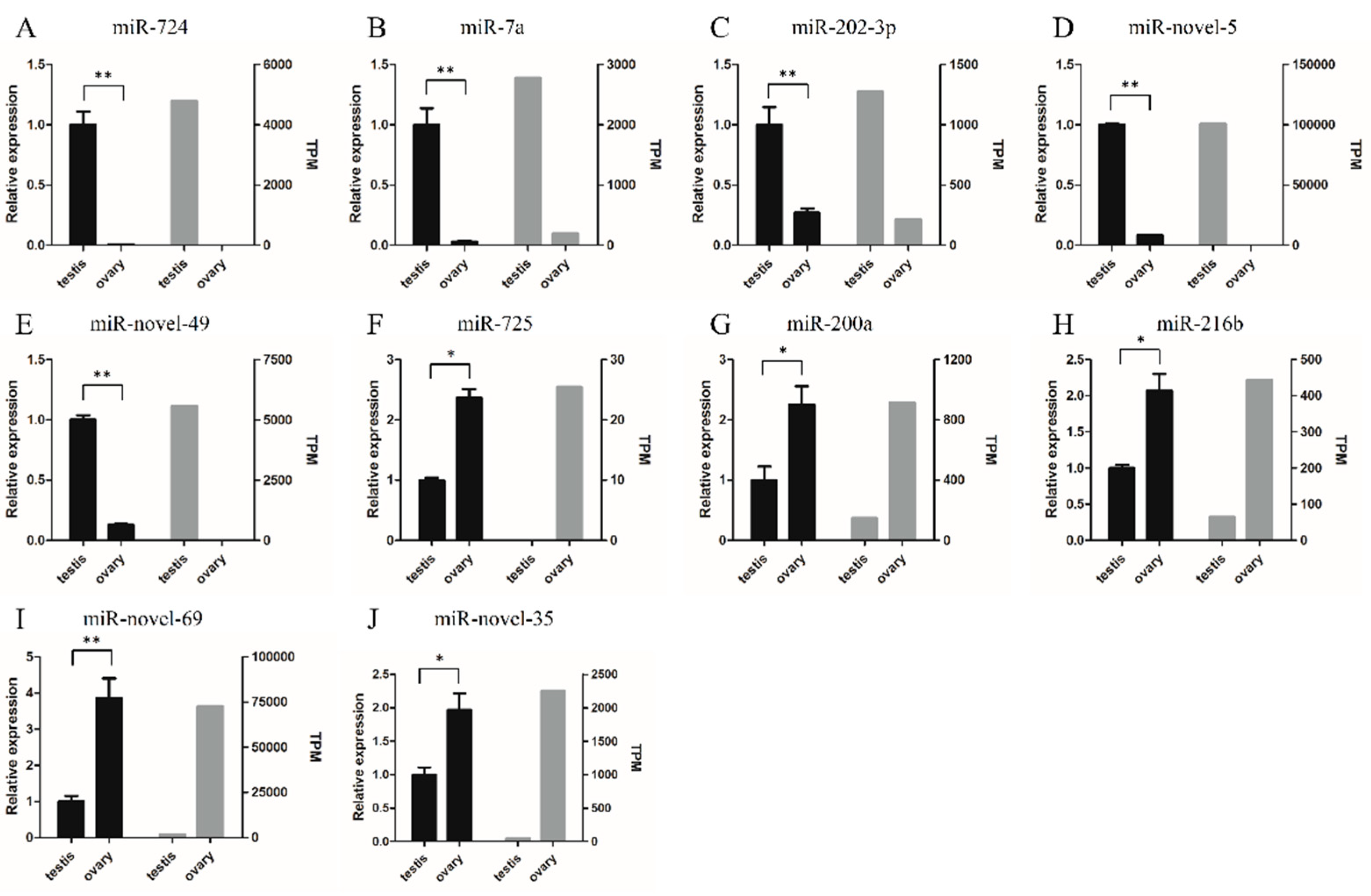 Ijms 21 05690 g005 Ijms 21 05690 g005