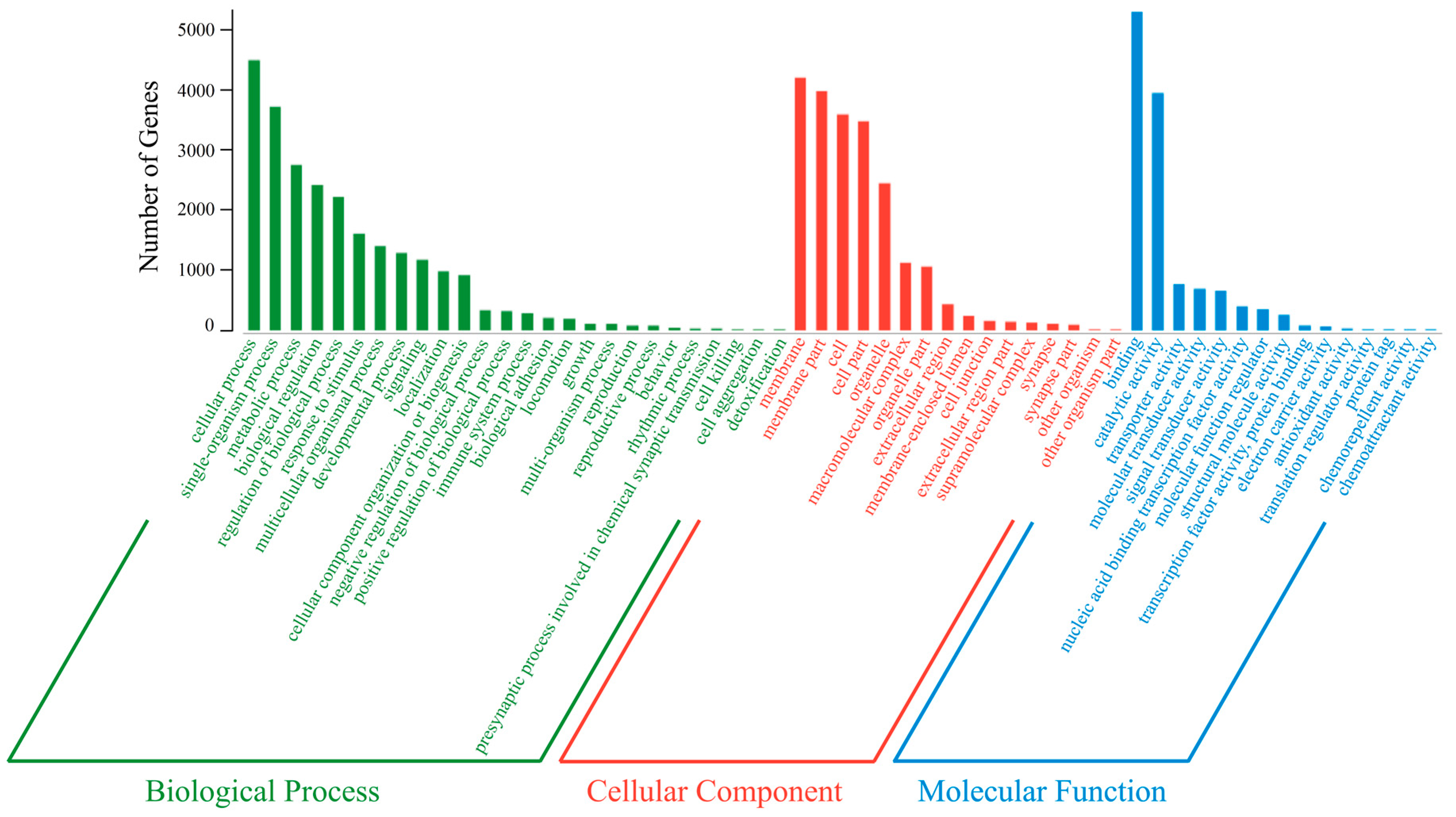 Ijms 21 05690 g006 Ijms 21 05690 g006