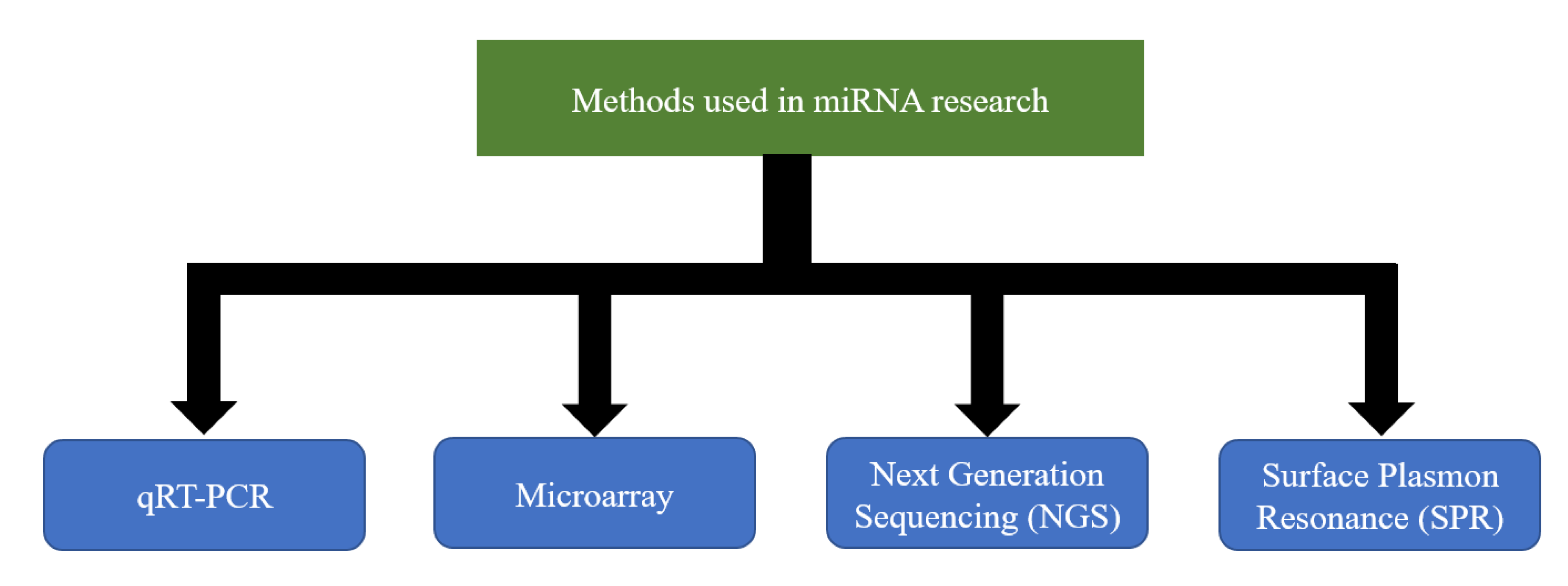 Ijms 21 05699 g002 Ijms 21 05699 g002