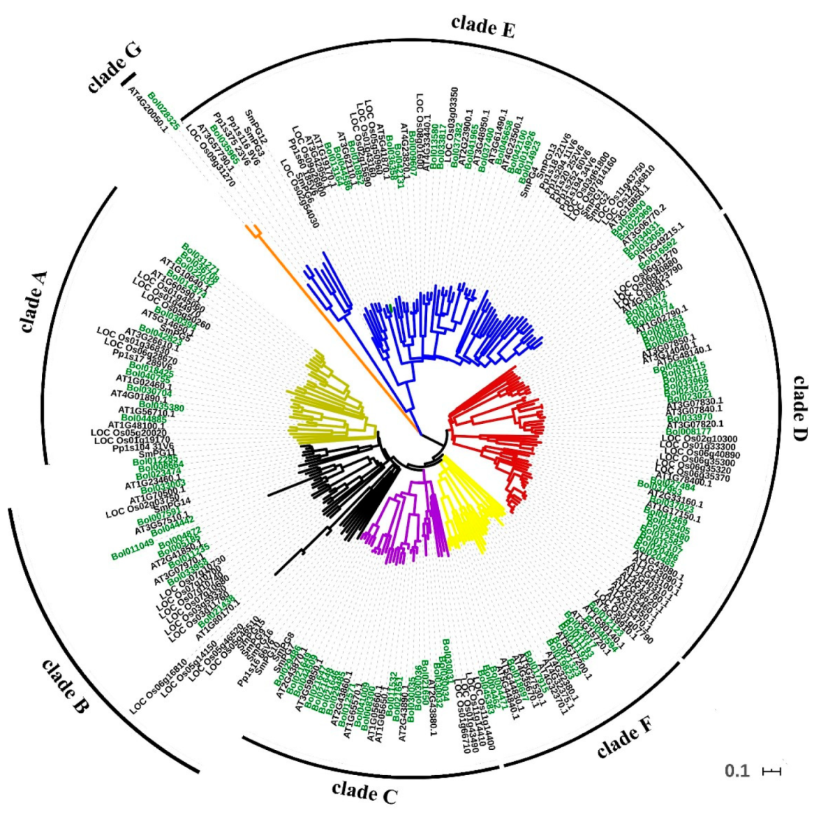 Ijms 21 05706 g001 Ijms 21 05706 g001