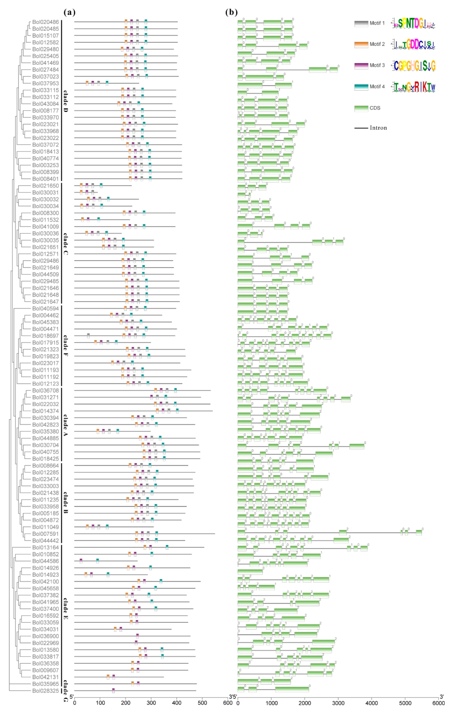 Ijms 21 05706 g002 Ijms 21 05706 g002