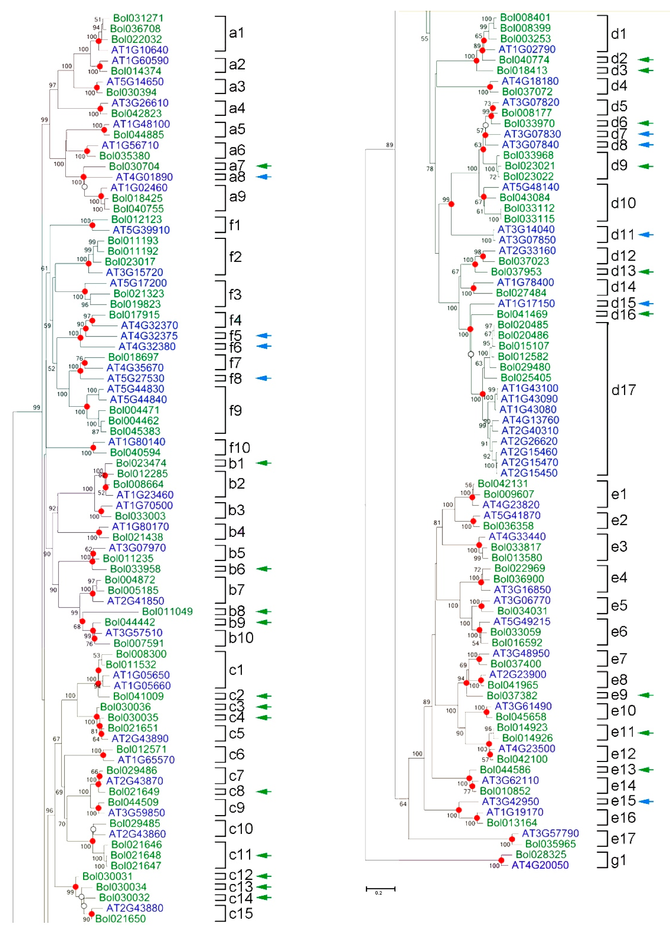 Ijms 21 05706 g004 Ijms 21 05706 g004