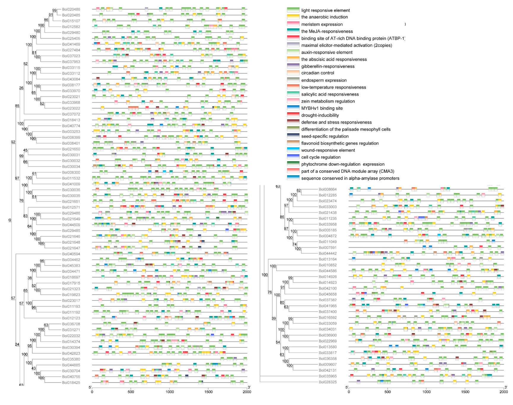 Ijms 21 05706 g006 Ijms 21 05706 g006