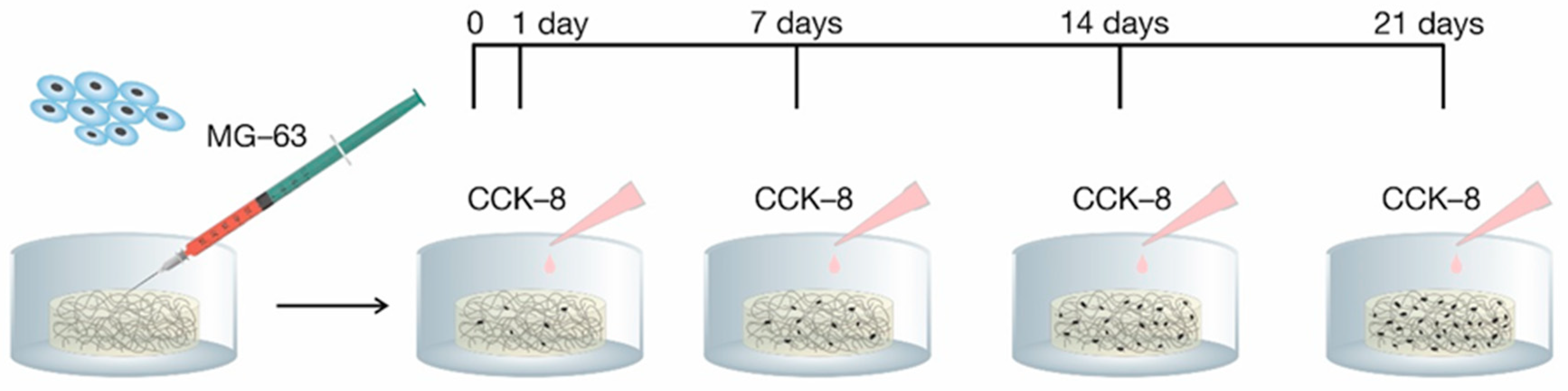 Ijms 21 05719 g001 Ijms 21 05719 g001