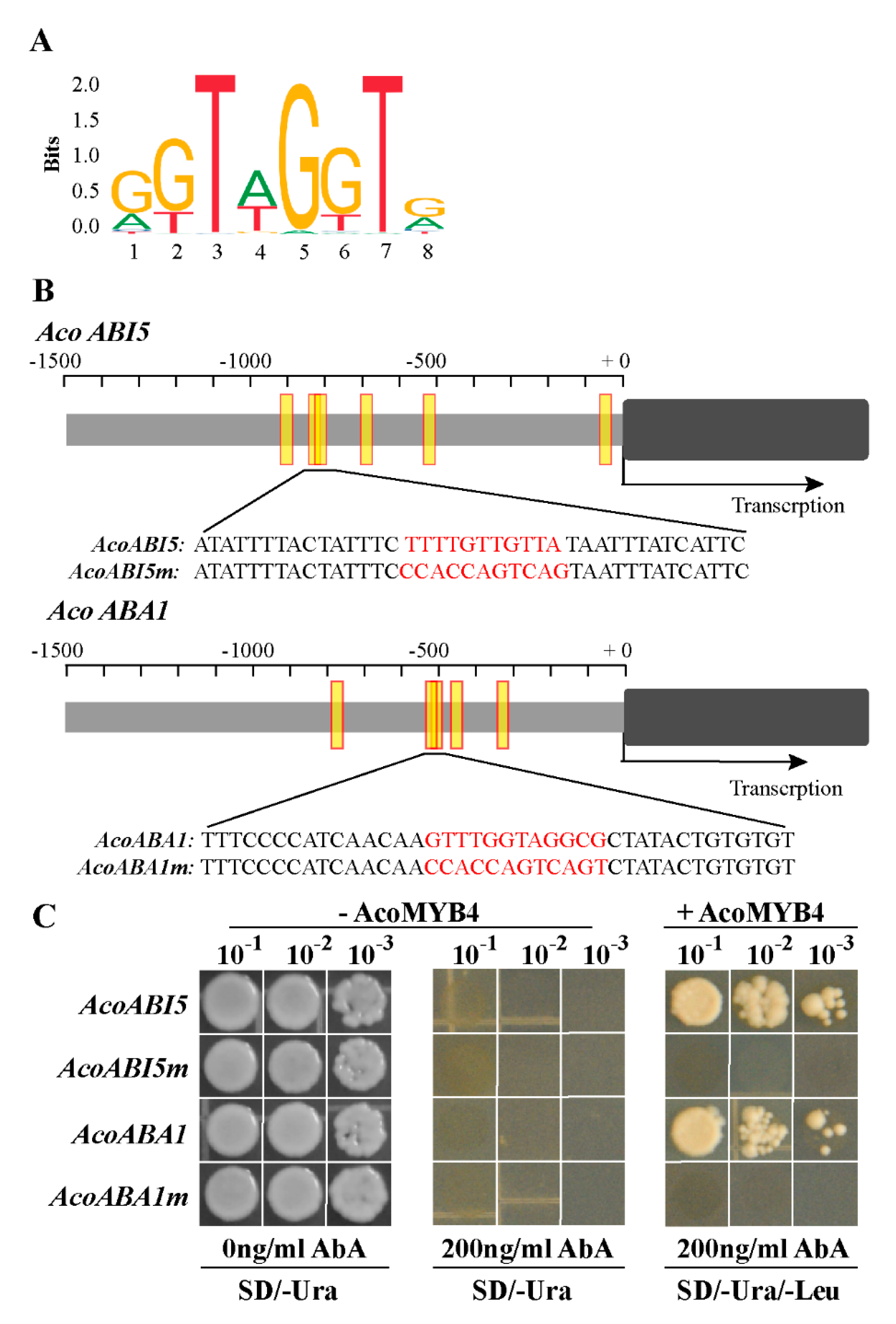 Ijms 21 05727 g008 Ijms 21 05727 g008