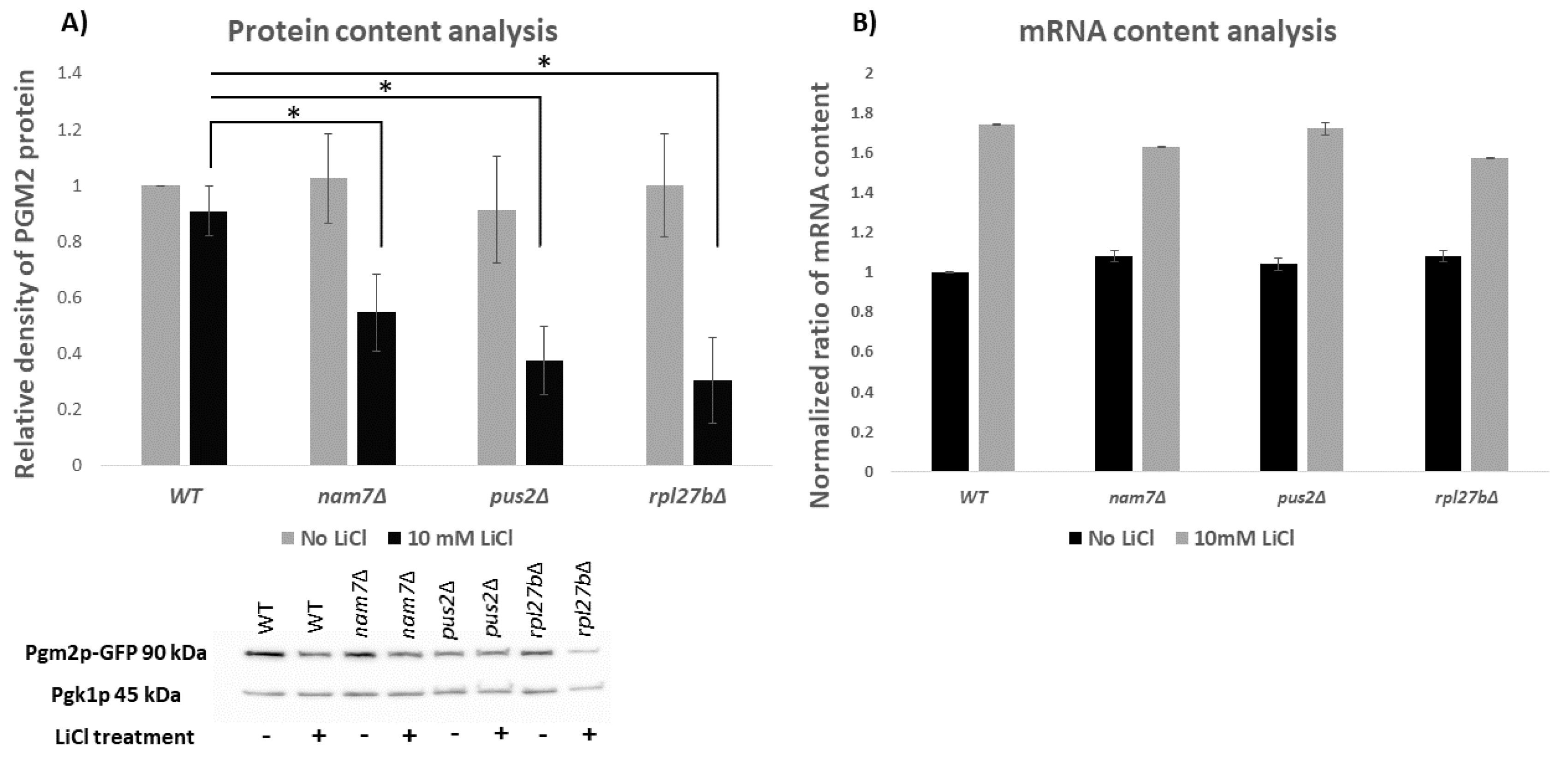 Ijms 21 05730 g003 Ijms 21 05730 g003