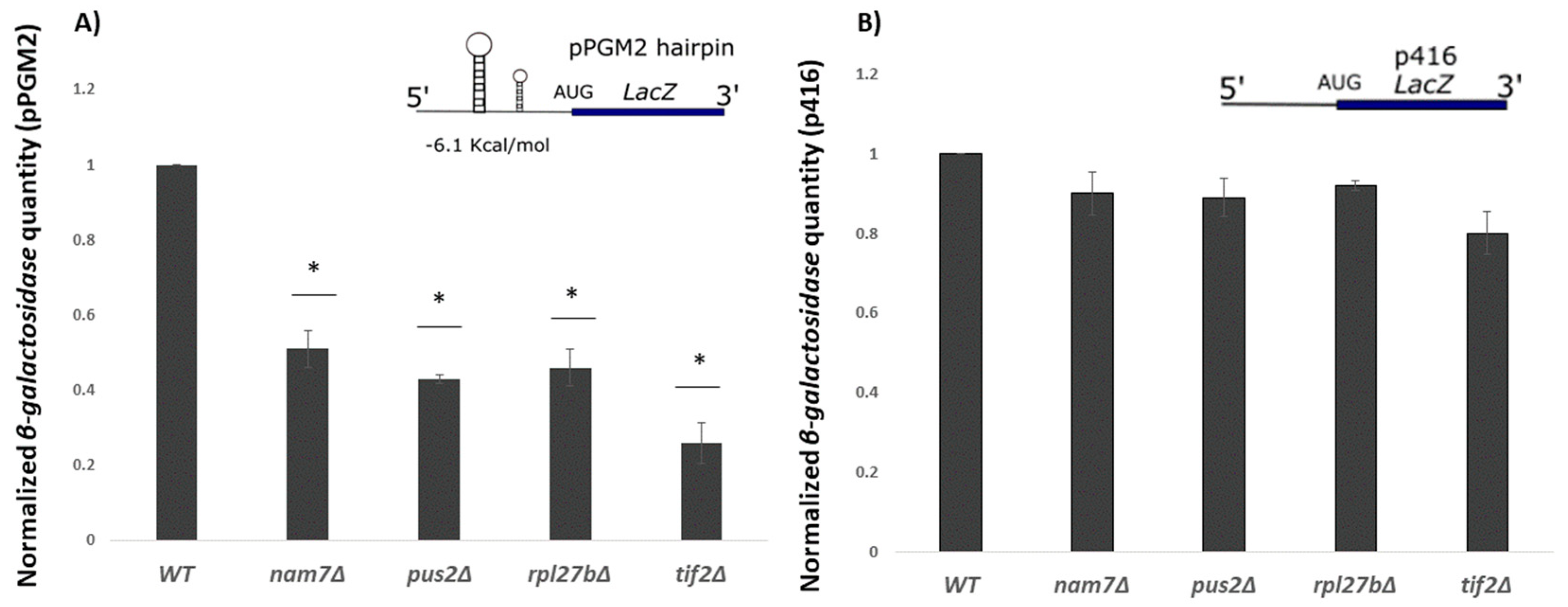 Ijms 21 05730 g004 Ijms 21 05730 g004