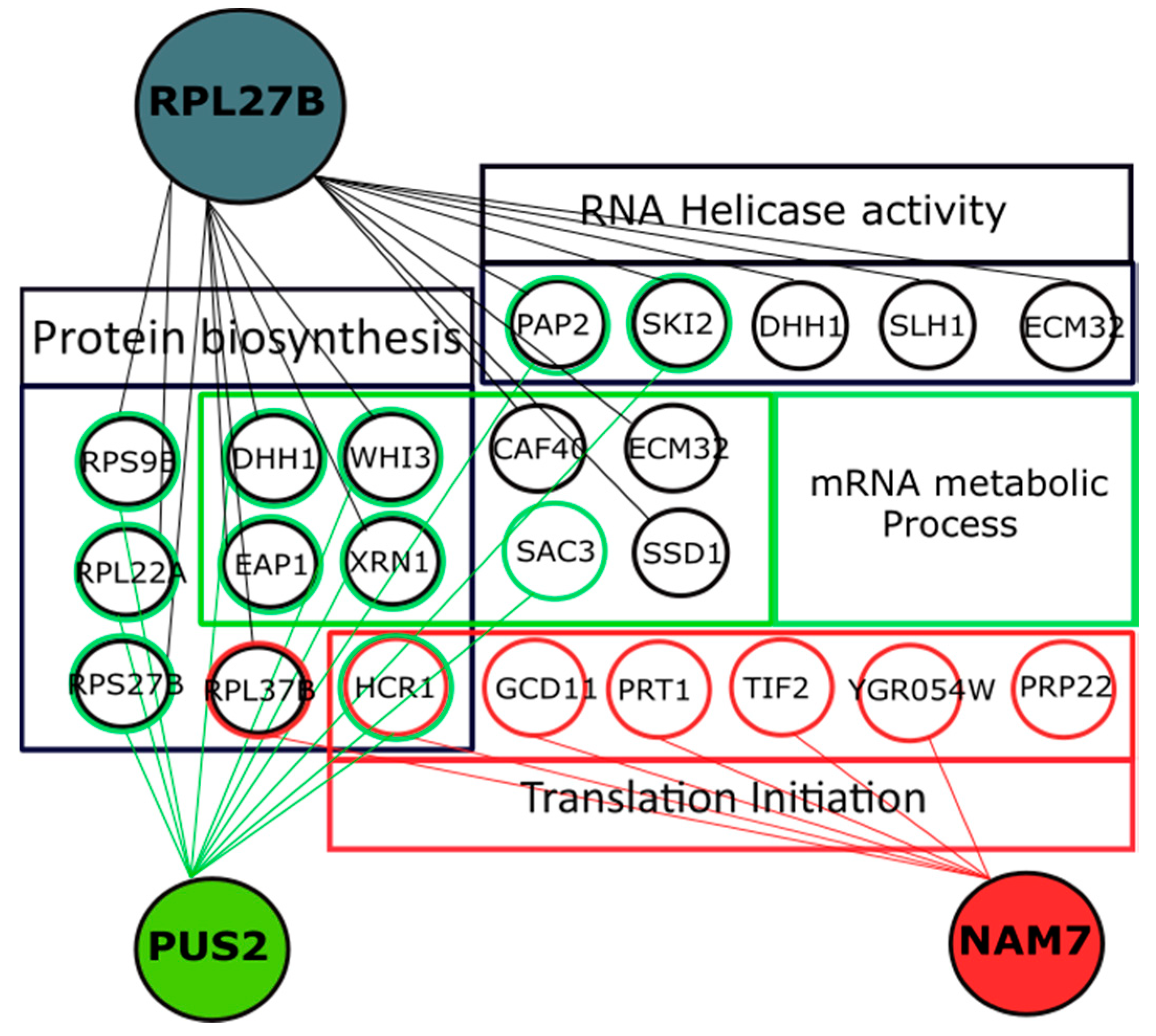 Ijms 21 05730 g006 Ijms 21 05730 g006