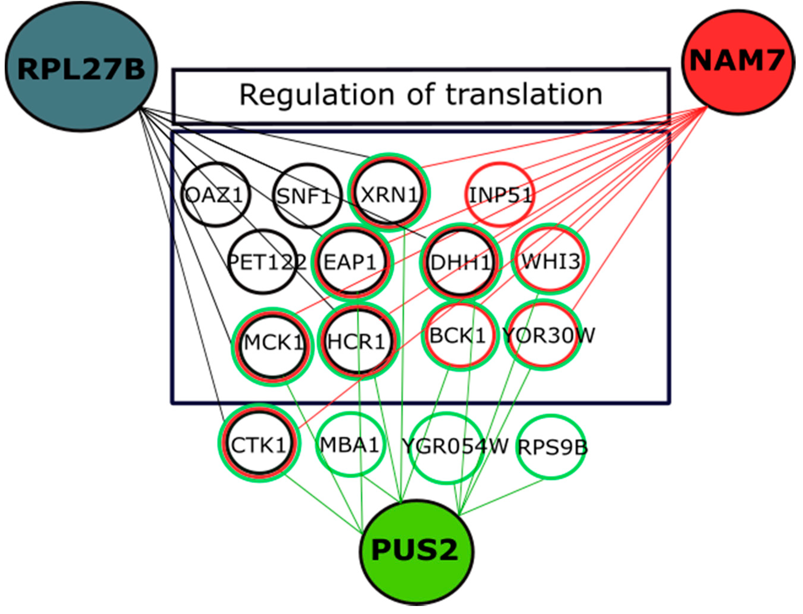 Ijms 21 05730 g007 Ijms 21 05730 g007