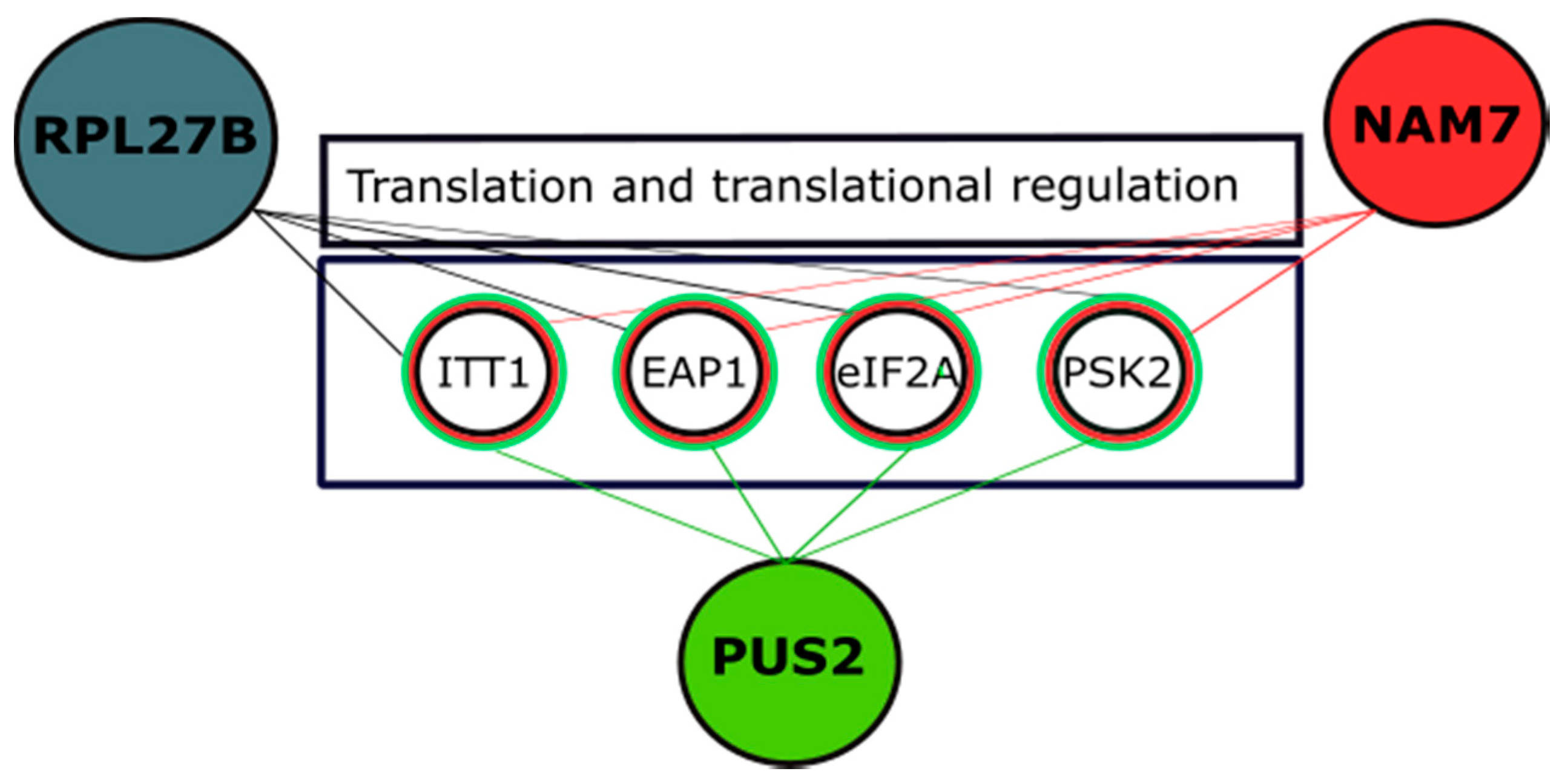 Ijms 21 05730 g008 Ijms 21 05730 g008