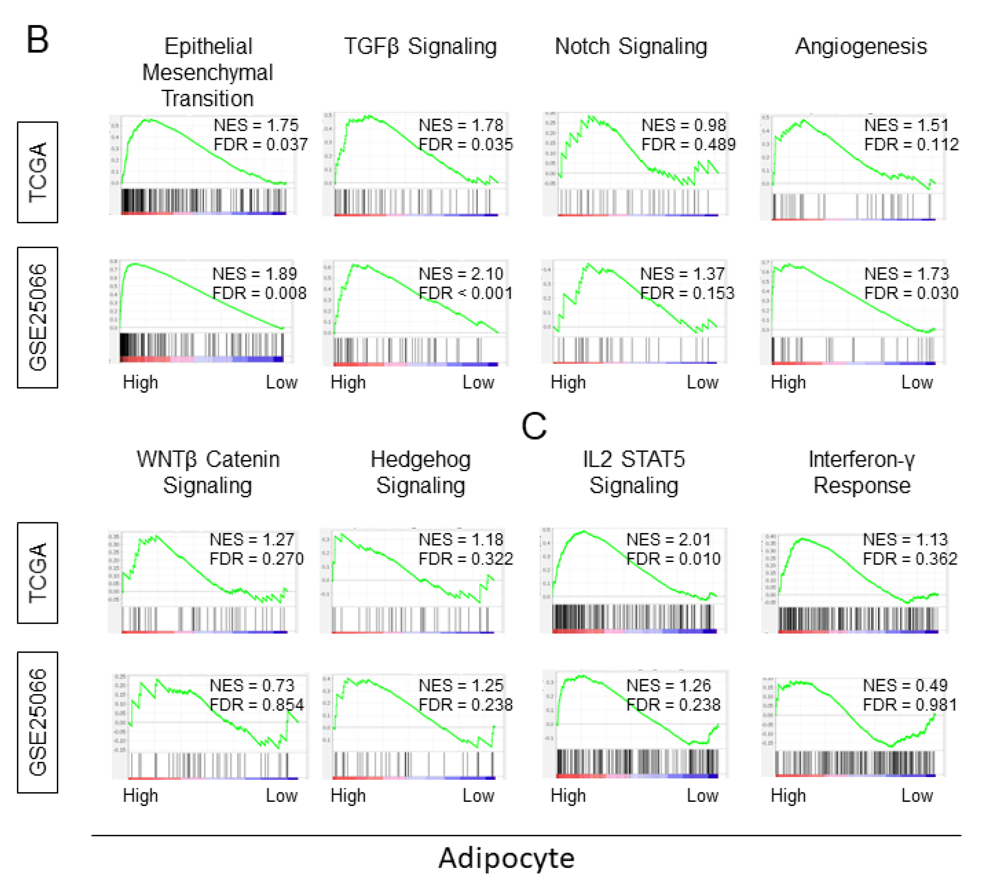 Ijms 21 05744 g003b Ijms 21 05744 g003b