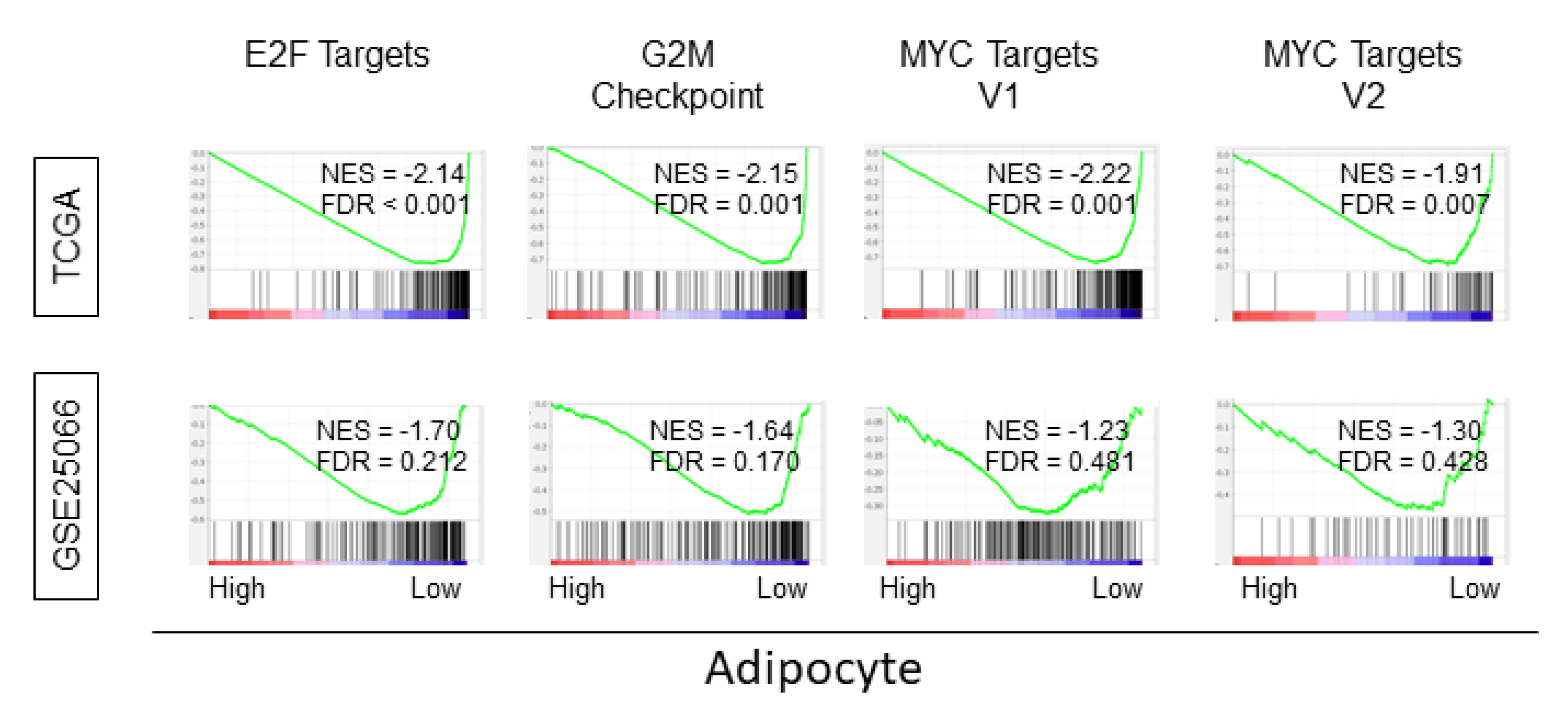 Ijms 21 05744 g005 Ijms 21 05744 g005