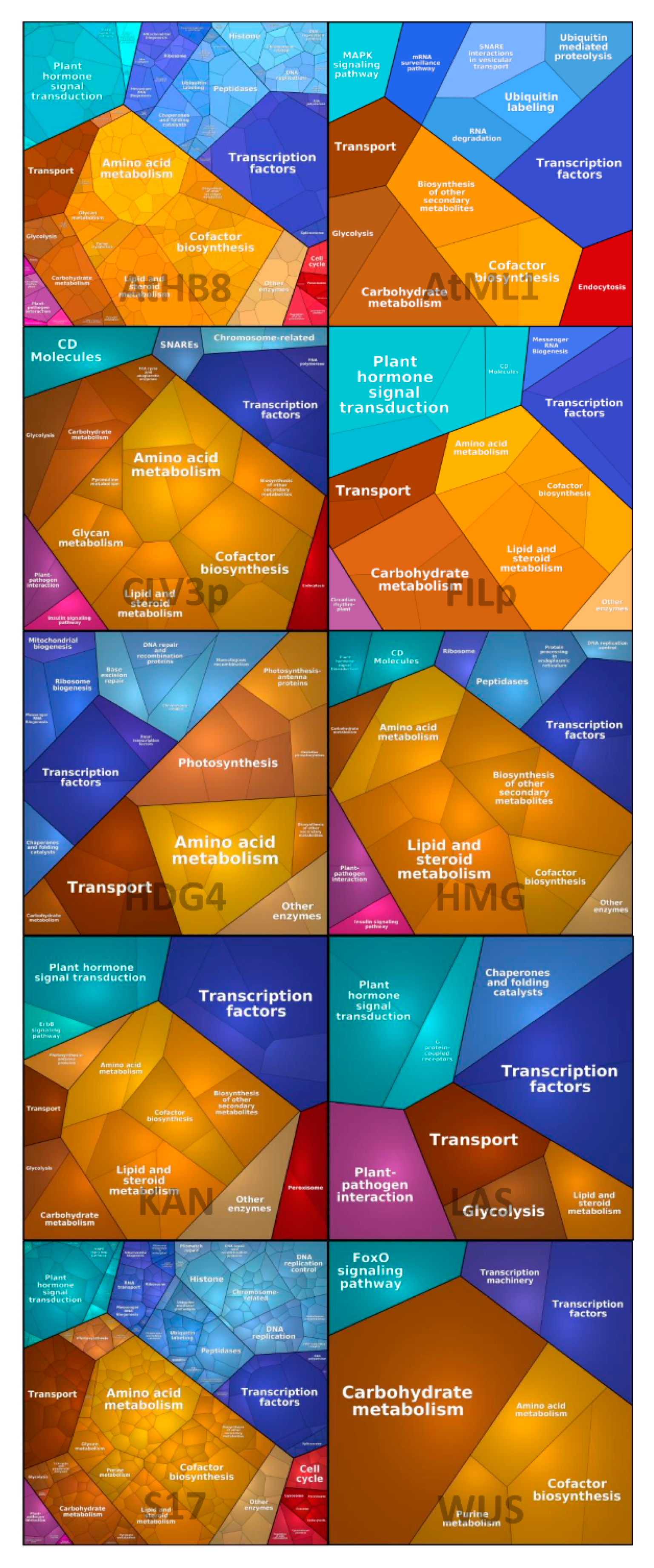 Ijms 21 05745 g001 Ijms 21 05745 g001