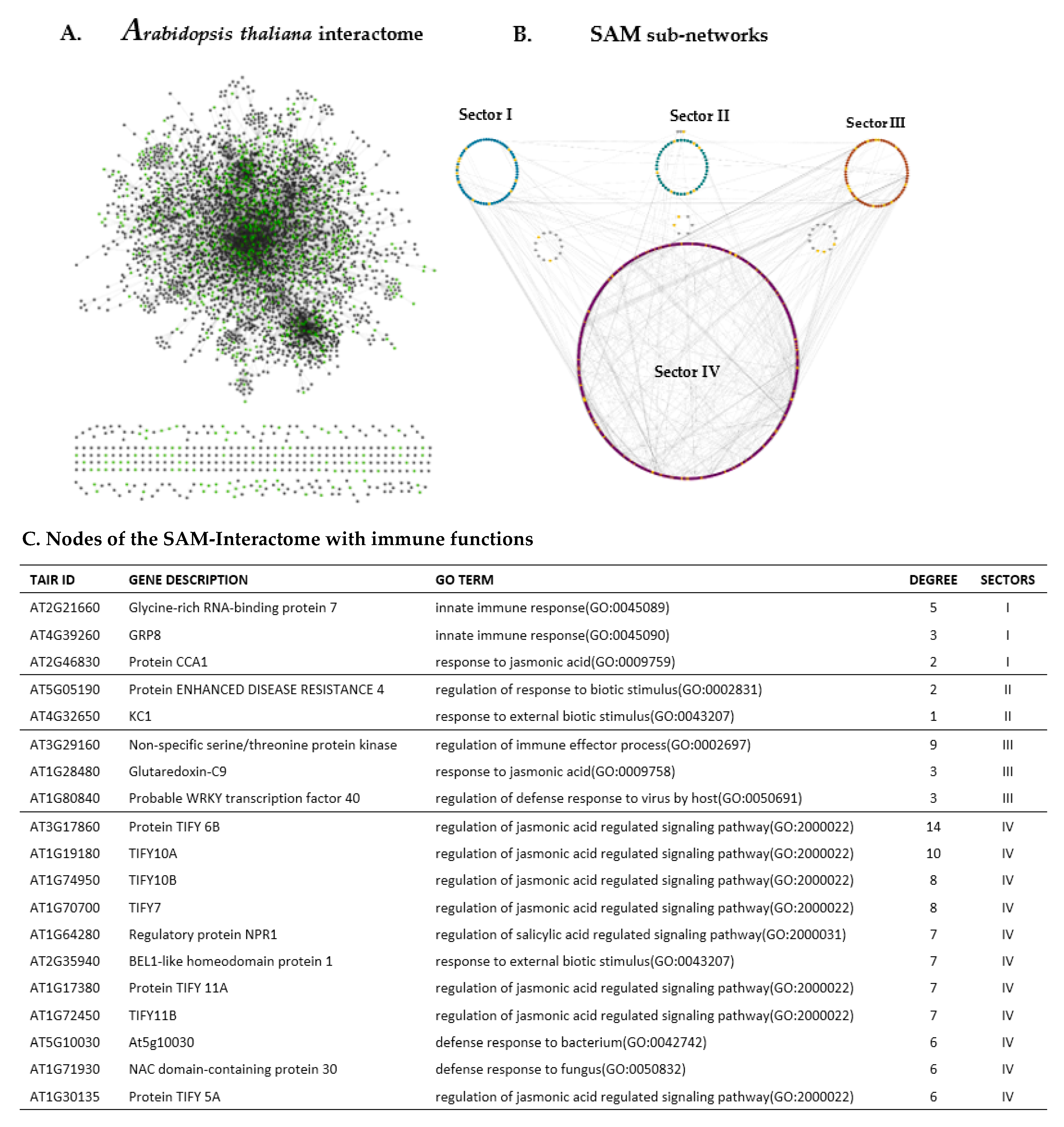Ijms 21 05745 g002 Ijms 21 05745 g002