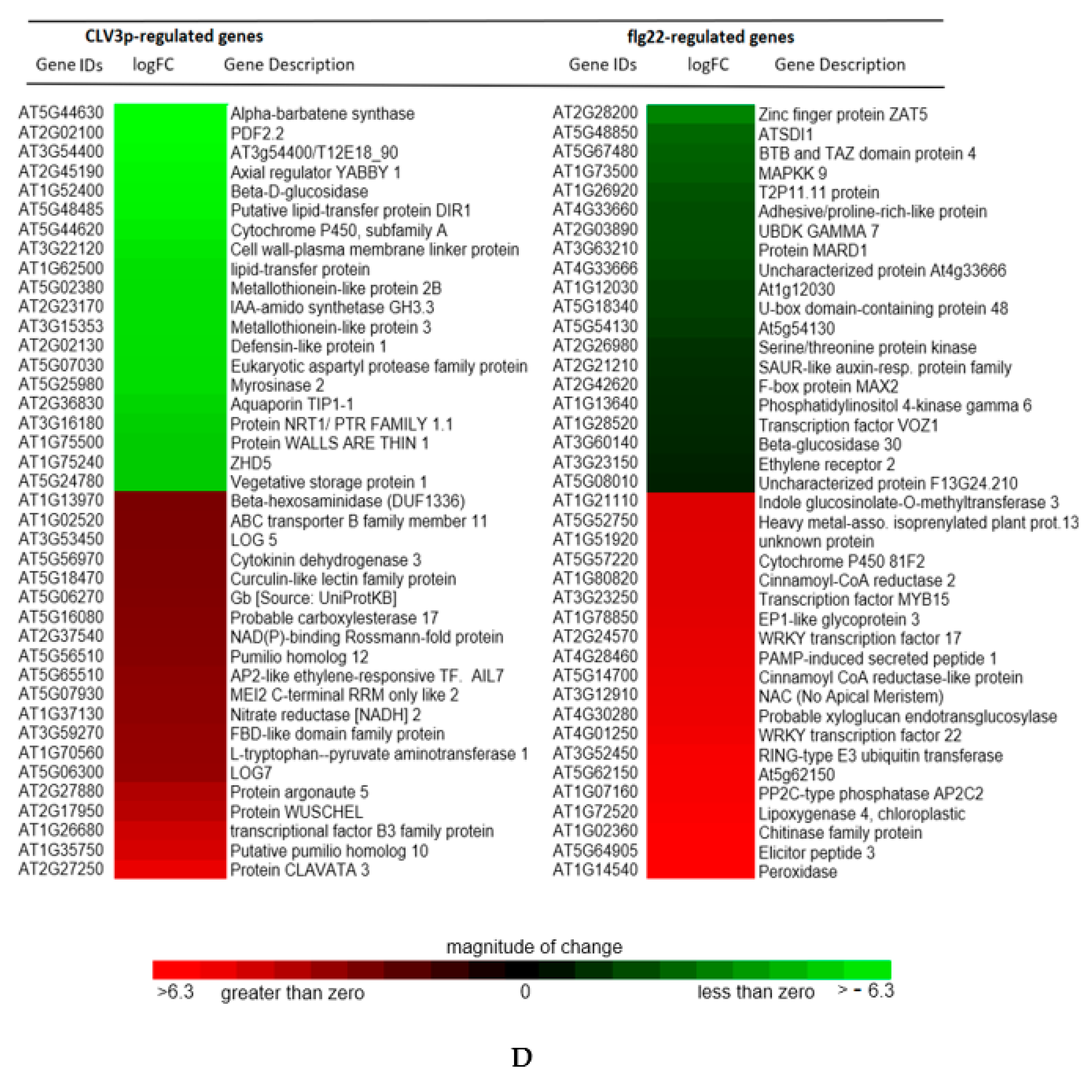 Ijms 21 05745 g003b Ijms 21 05745 g003b