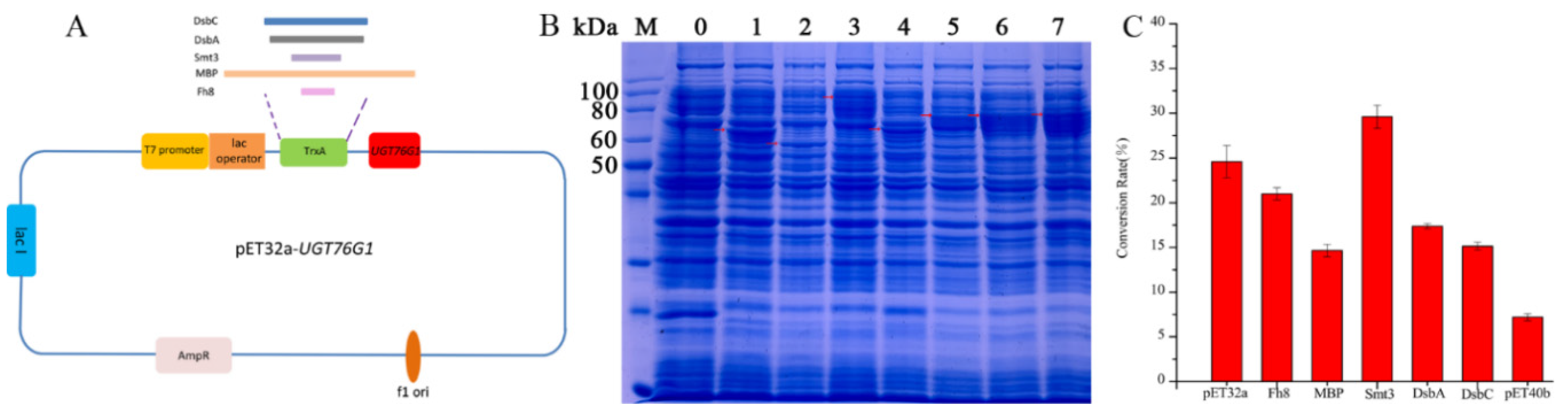 Ijms 21 05752 g001 Ijms 21 05752 g001