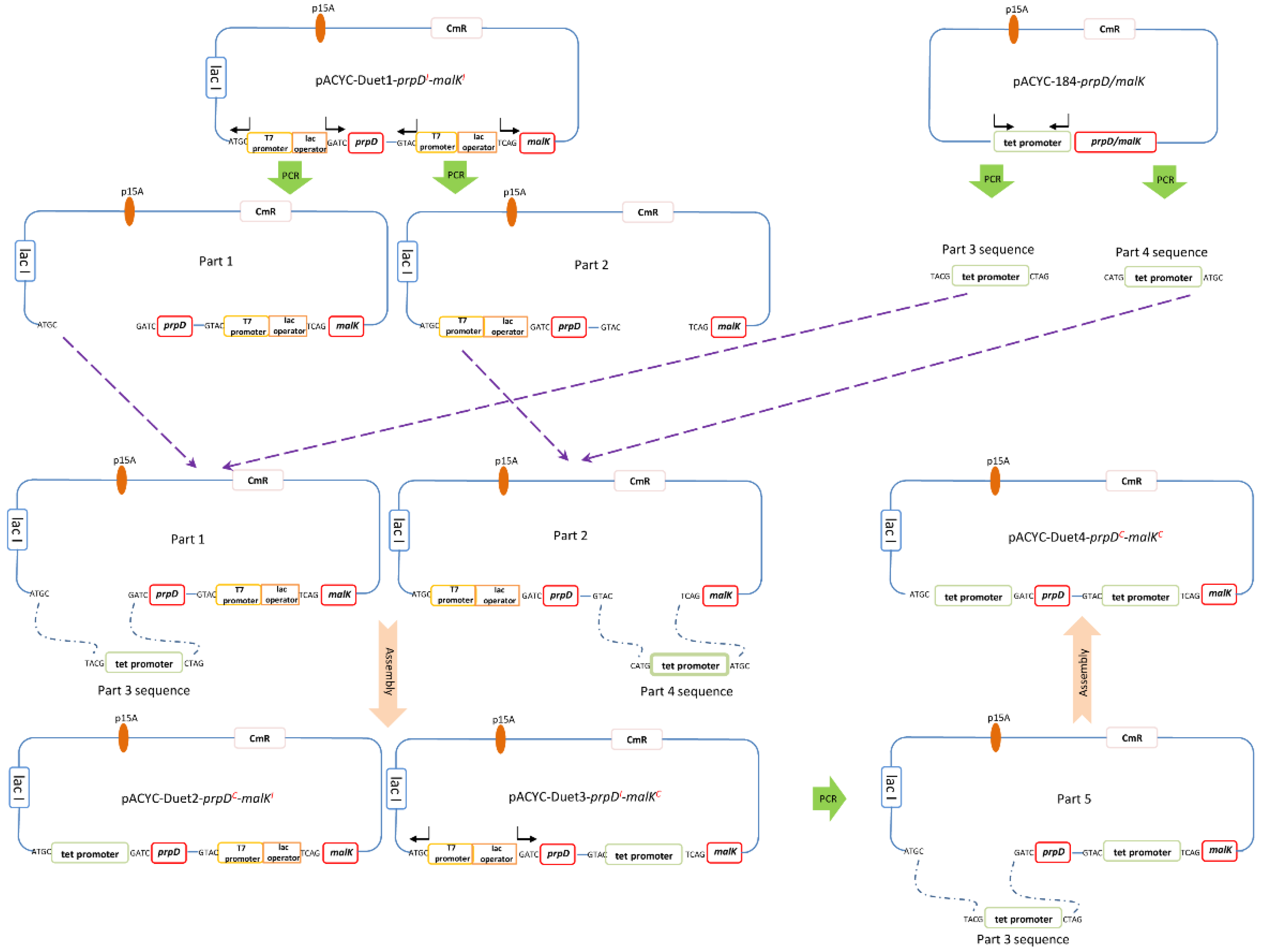 Ijms 21 05752 g002 Ijms 21 05752 g002