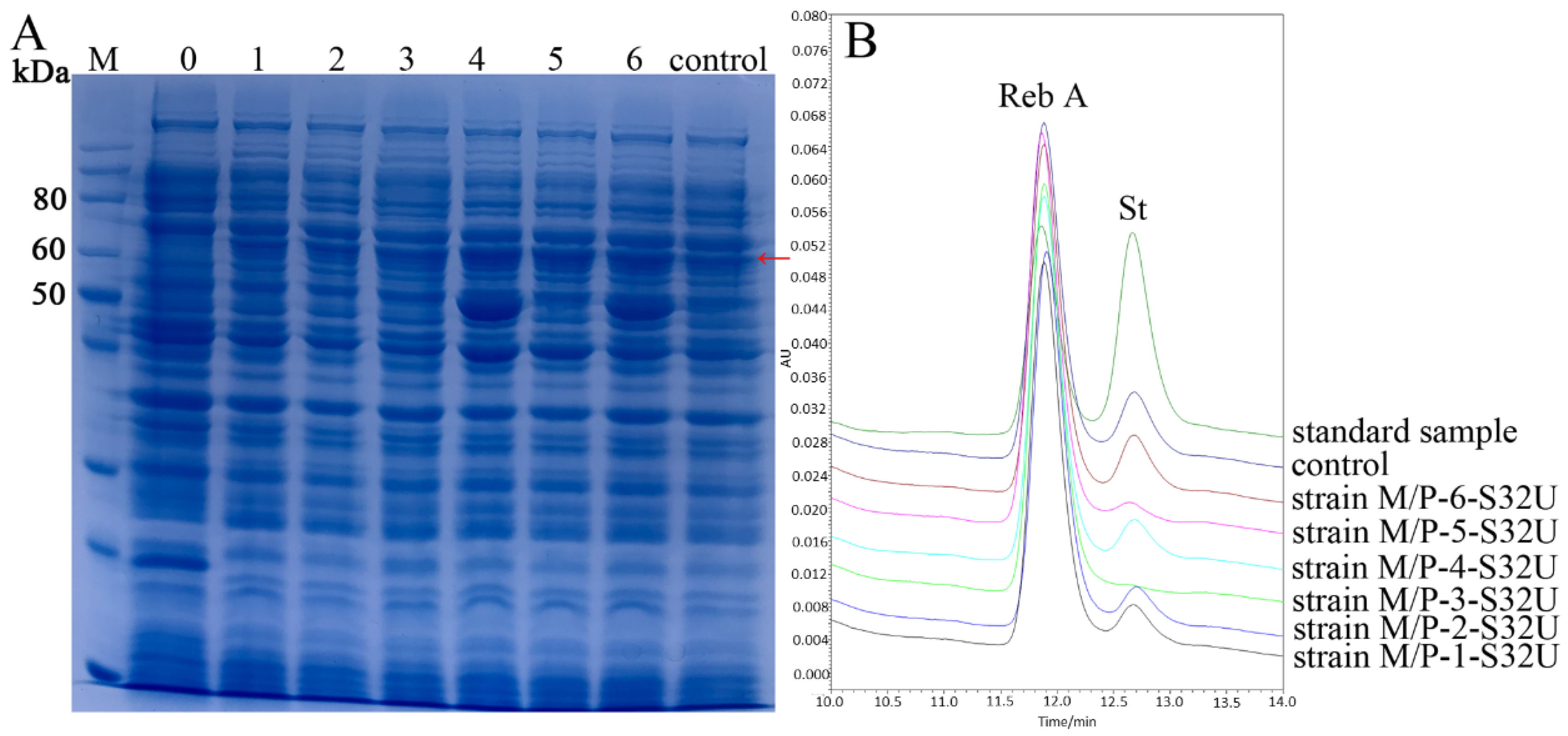 Ijms 21 05752 g003 Ijms 21 05752 g003