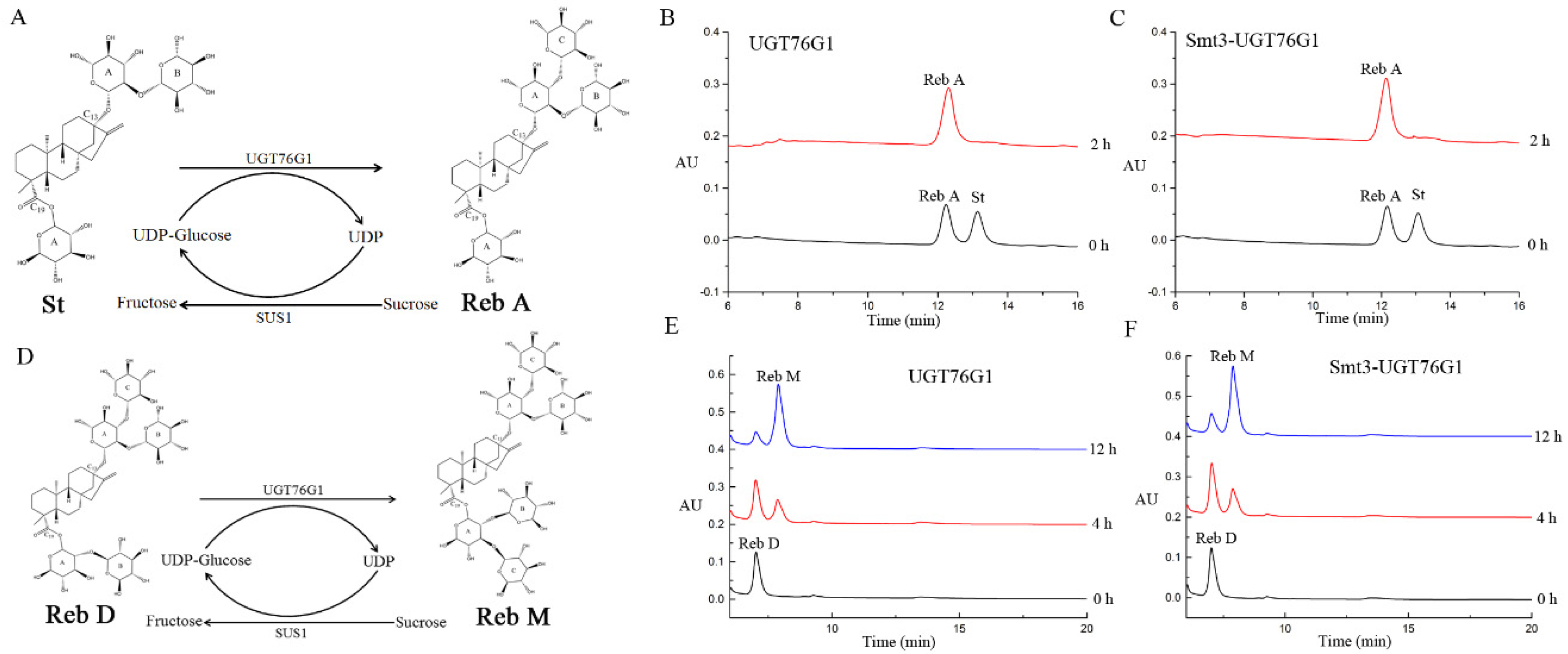 Ijms 21 05752 g005 Ijms 21 05752 g005