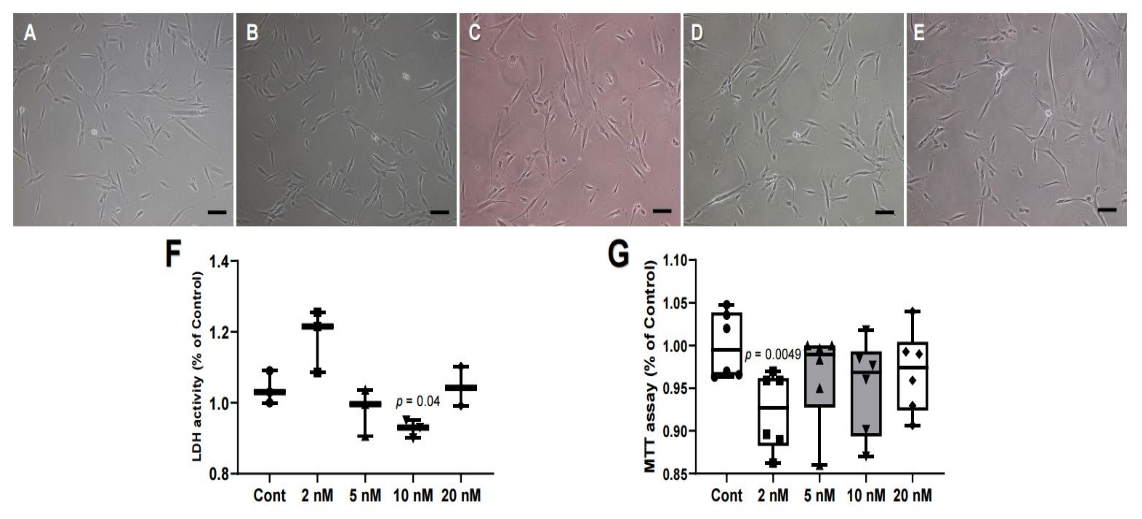 Ijms 21 05771 g001 Ijms 21 05771 g001