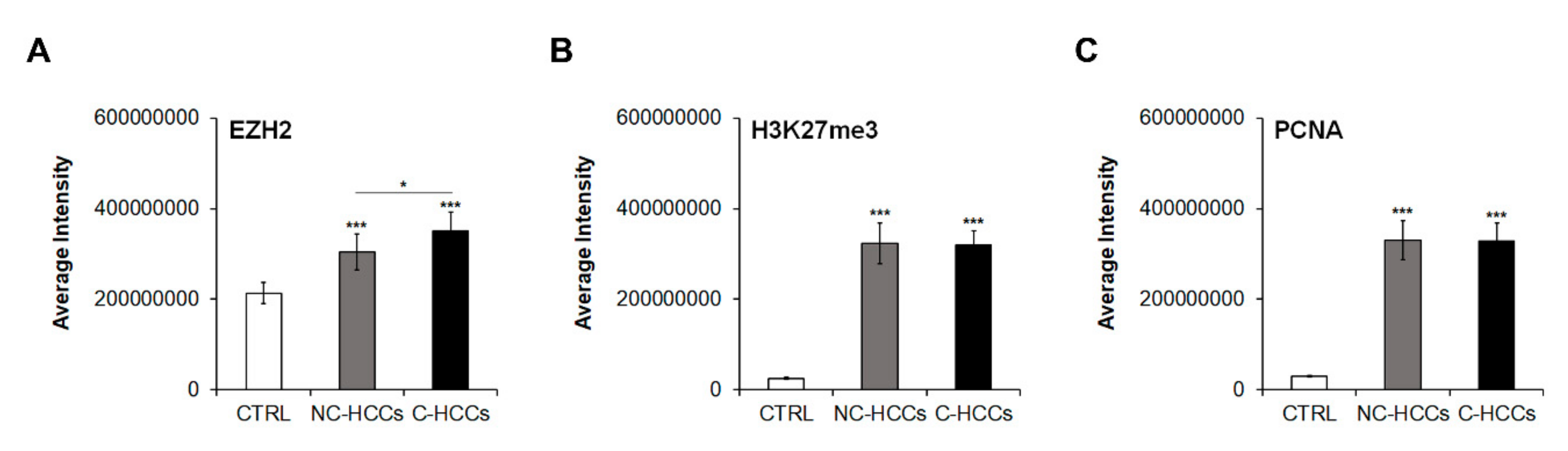 Ijms 21 05795 g004 Ijms 21 05795 g004