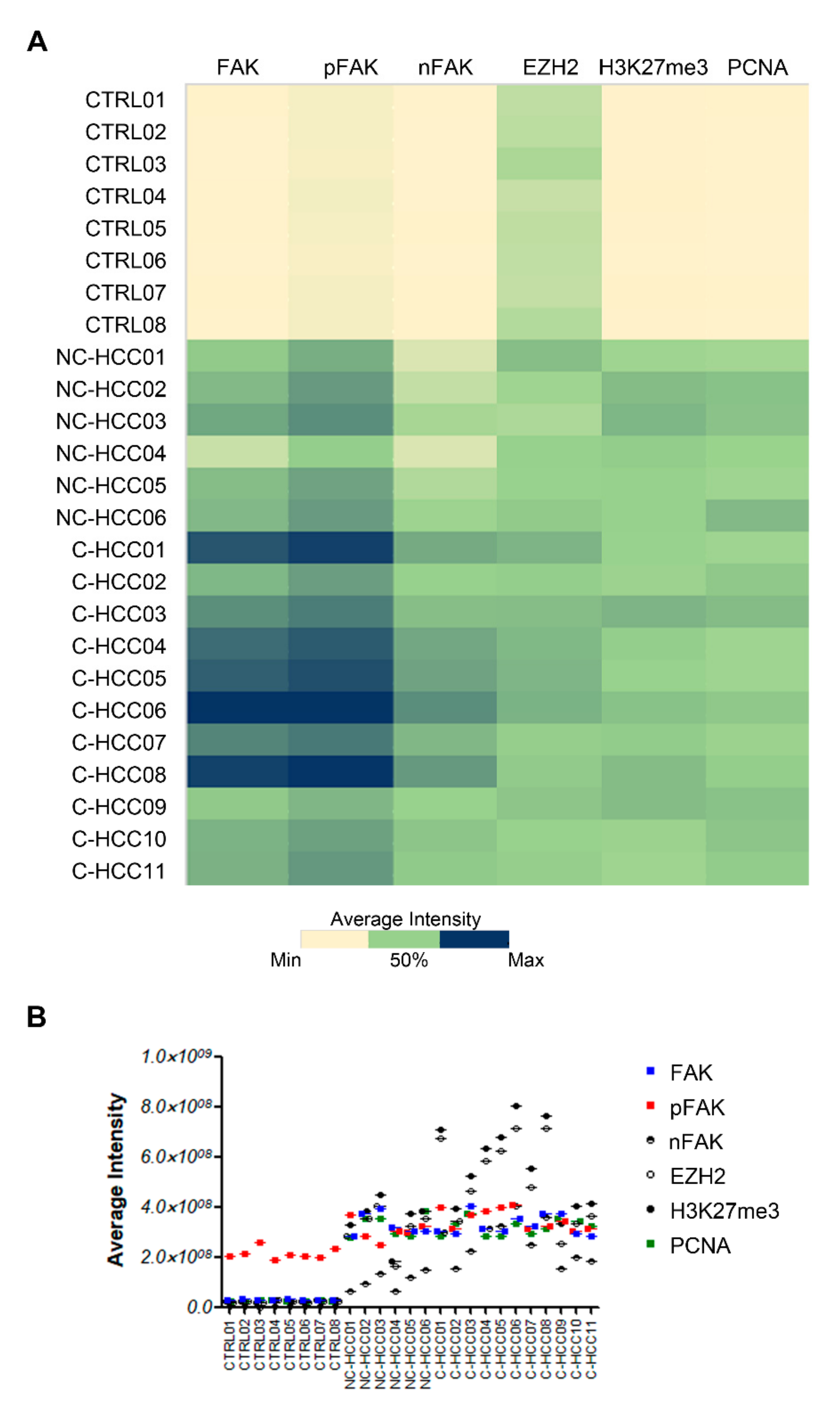 Ijms 21 05795 g005 Ijms 21 05795 g005