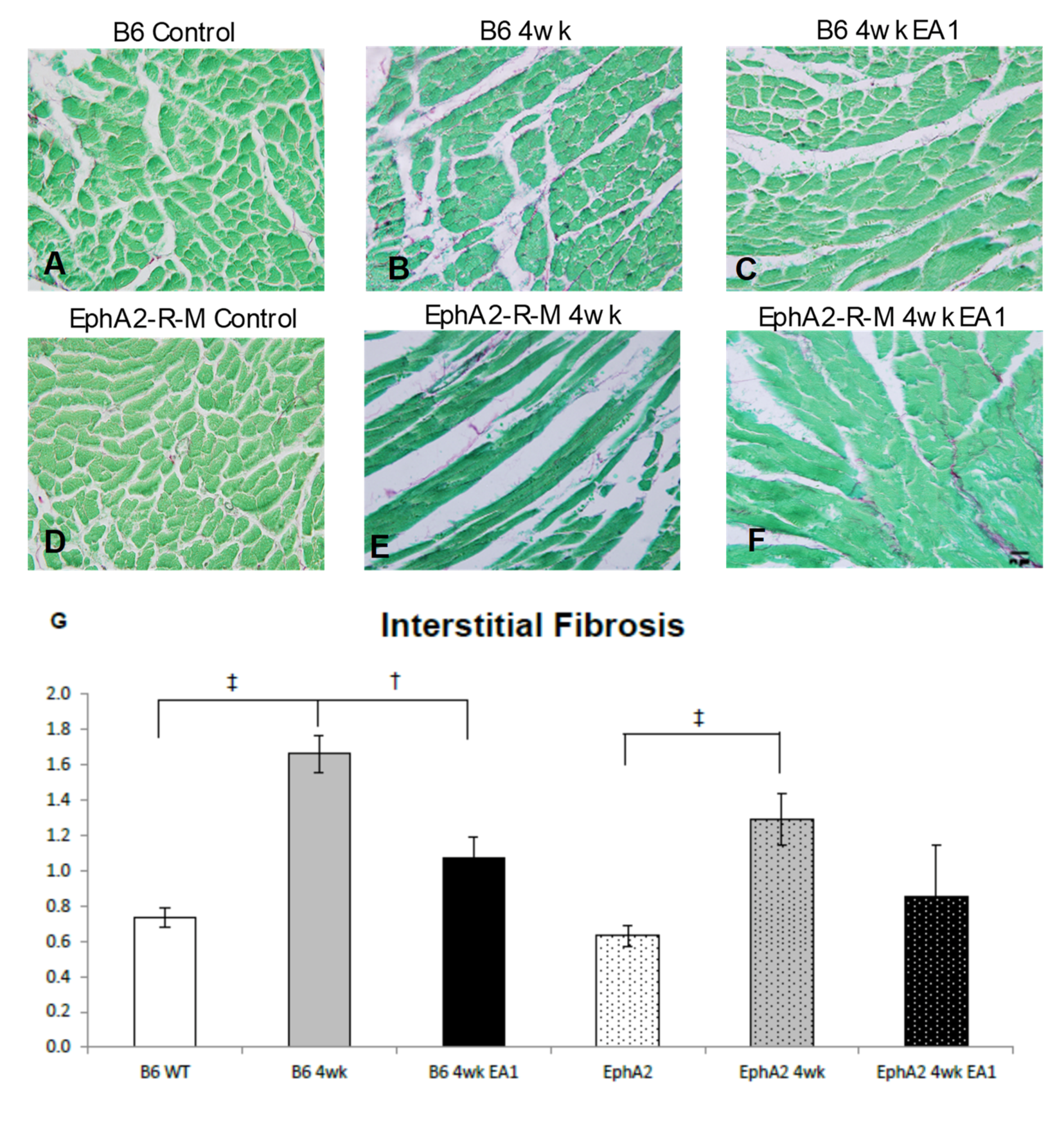 Ijms 21 05811 g004 Ijms 21 05811 g004