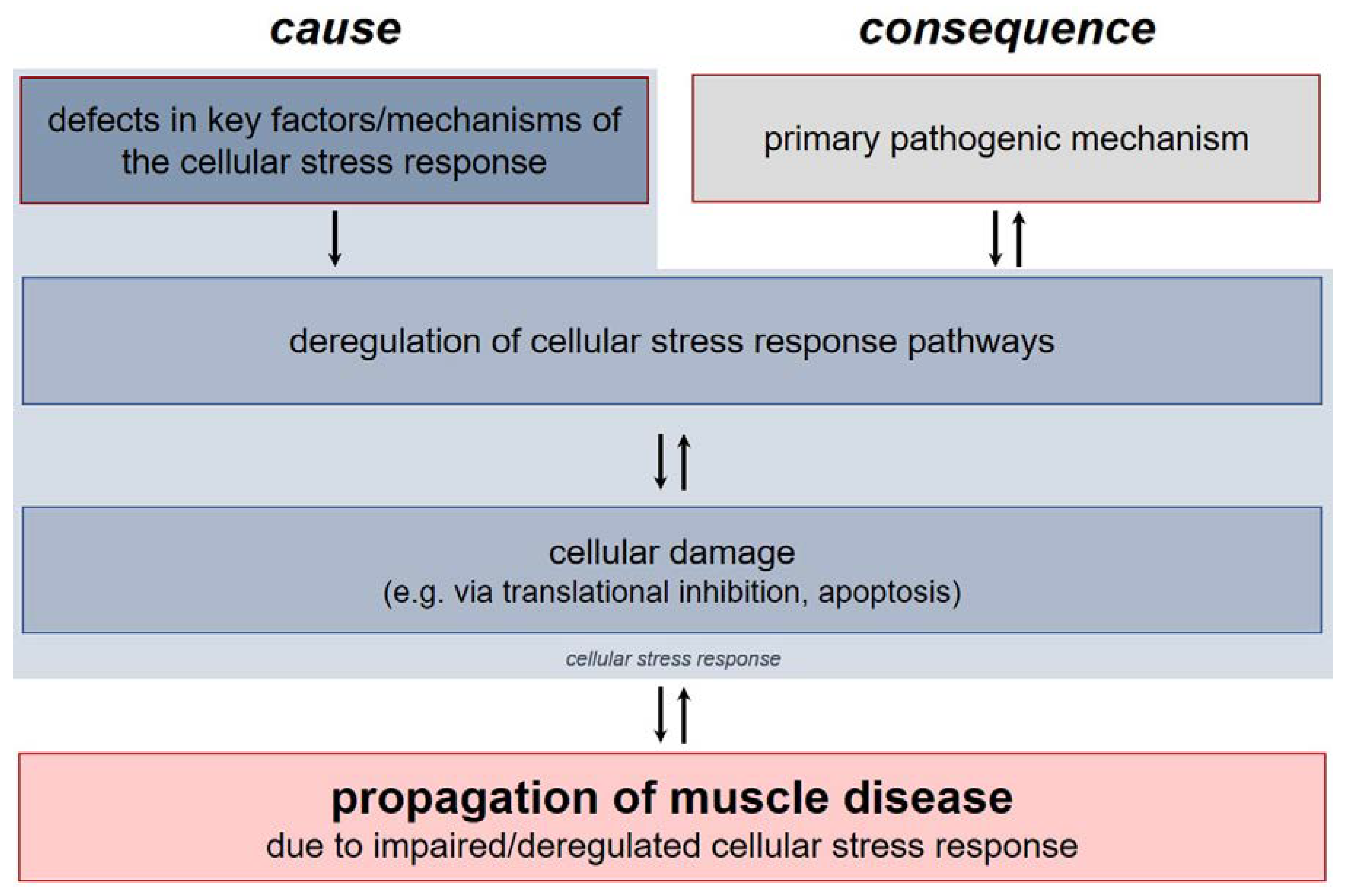 Ijms 21 05830 g001 Ijms 21 05830 g001