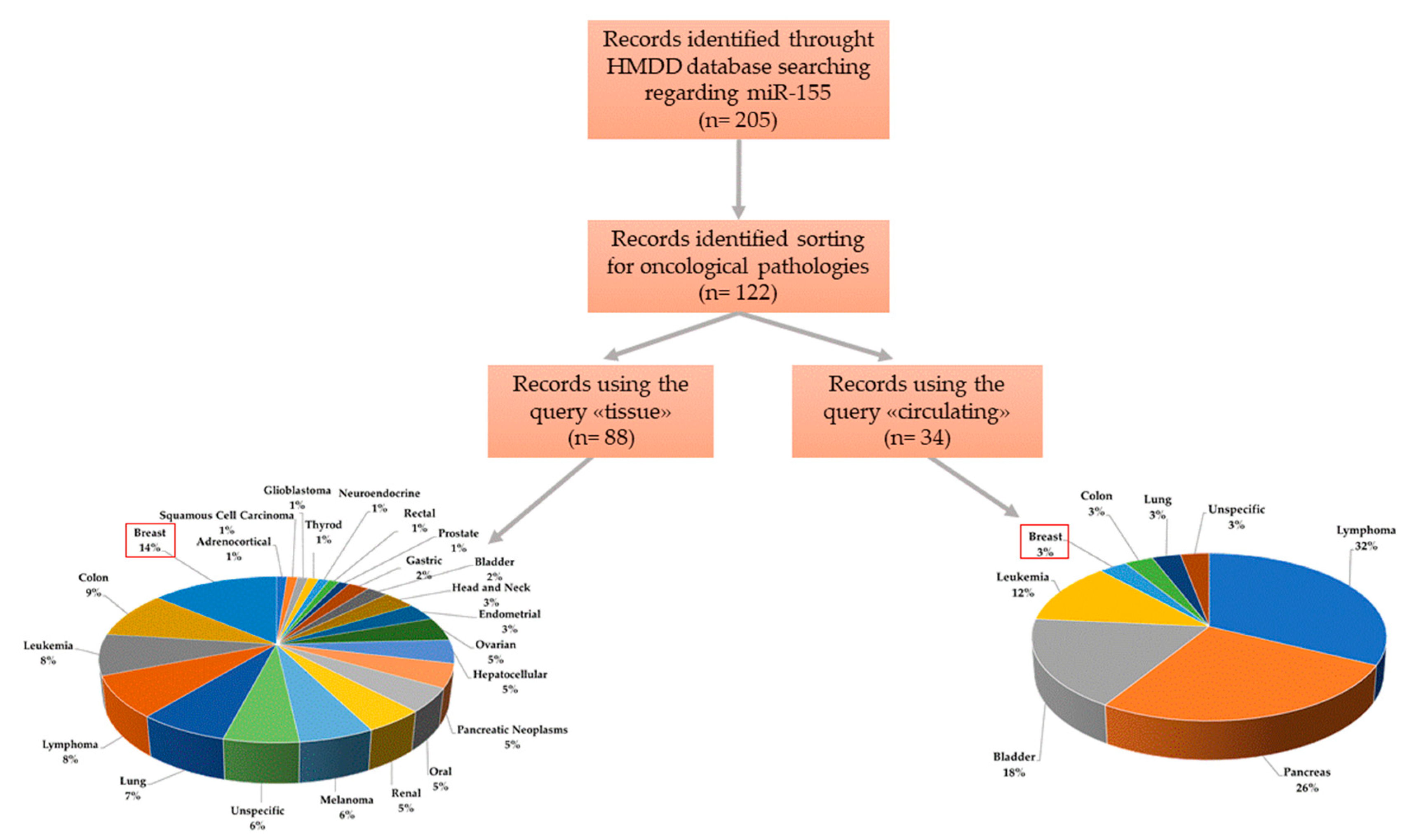 Ijms 21 05834 g002 Ijms 21 05834 g002