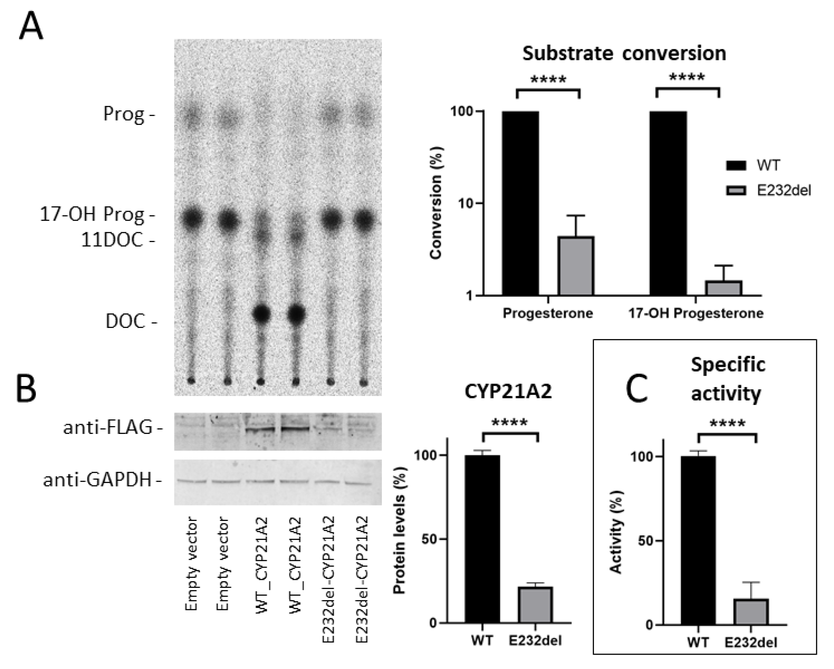 Ijms 21 05857 g002 Ijms 21 05857 g002