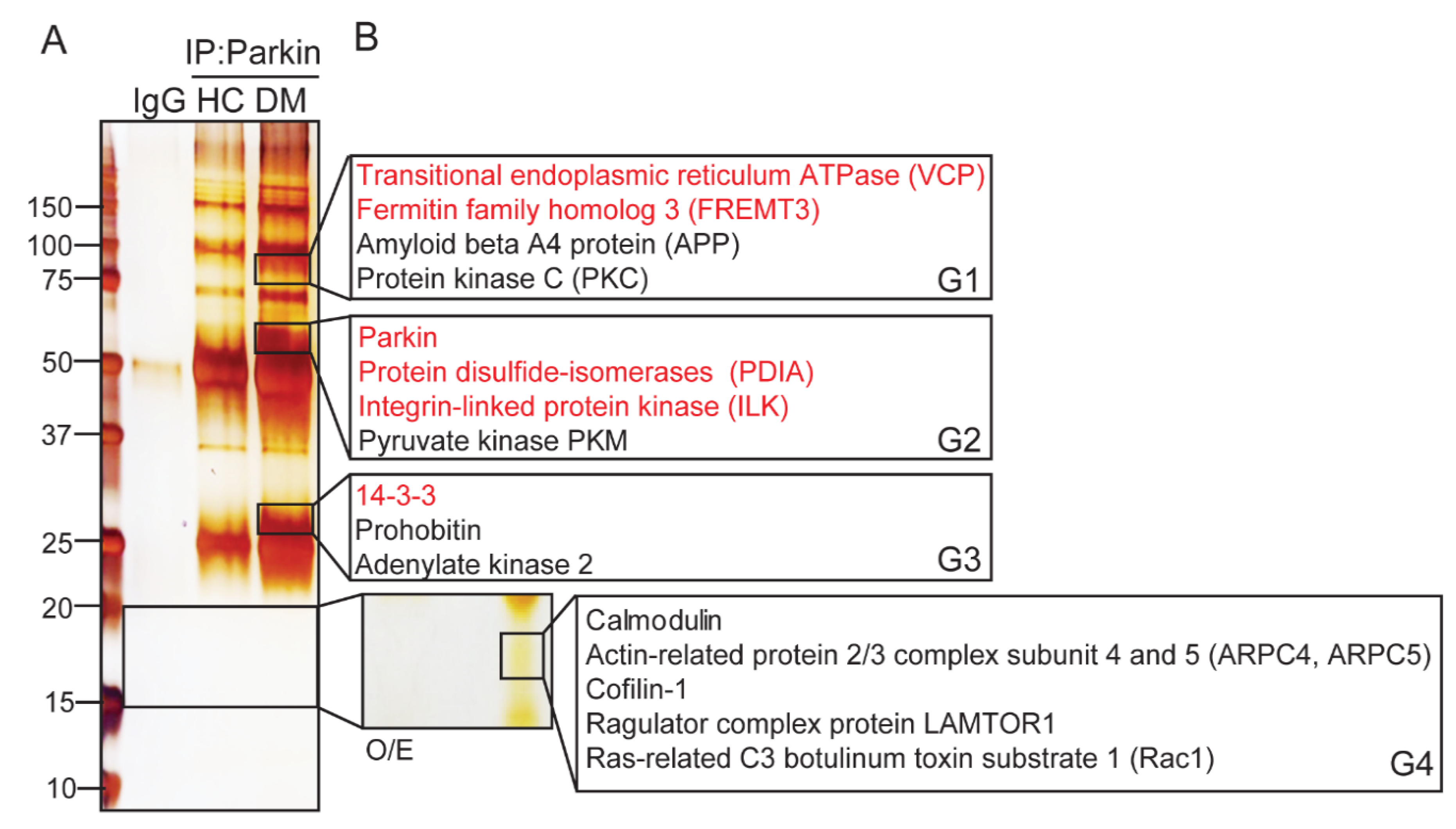 Ijms 21 05869 g002 Ijms 21 05869 g002