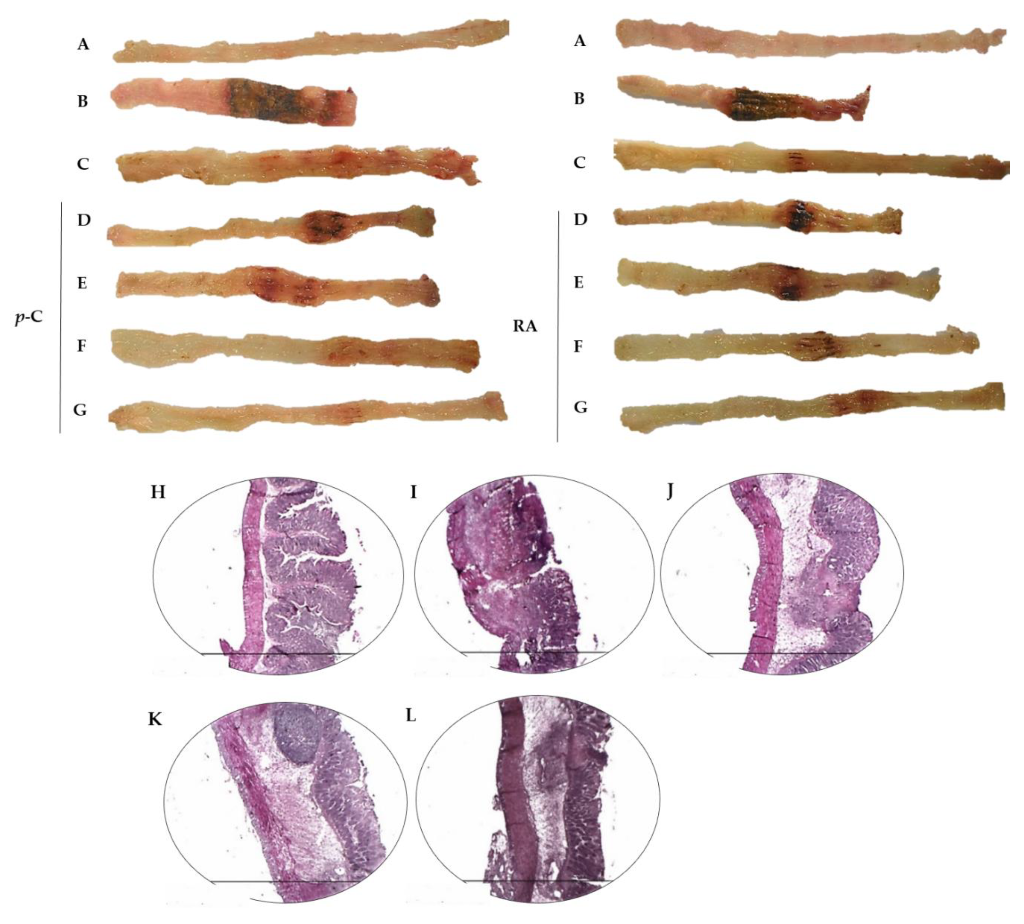 Ijms 21 05870 g001 Ijms 21 05870 g001