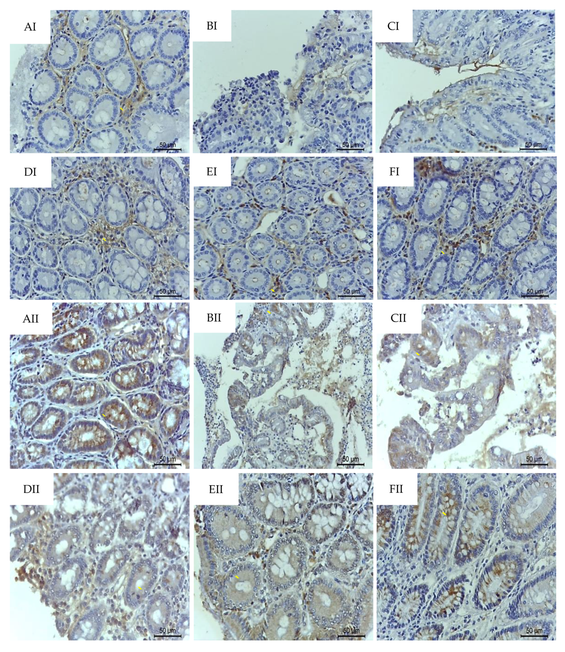 Ijms 21 05870 g006 Ijms 21 05870 g006