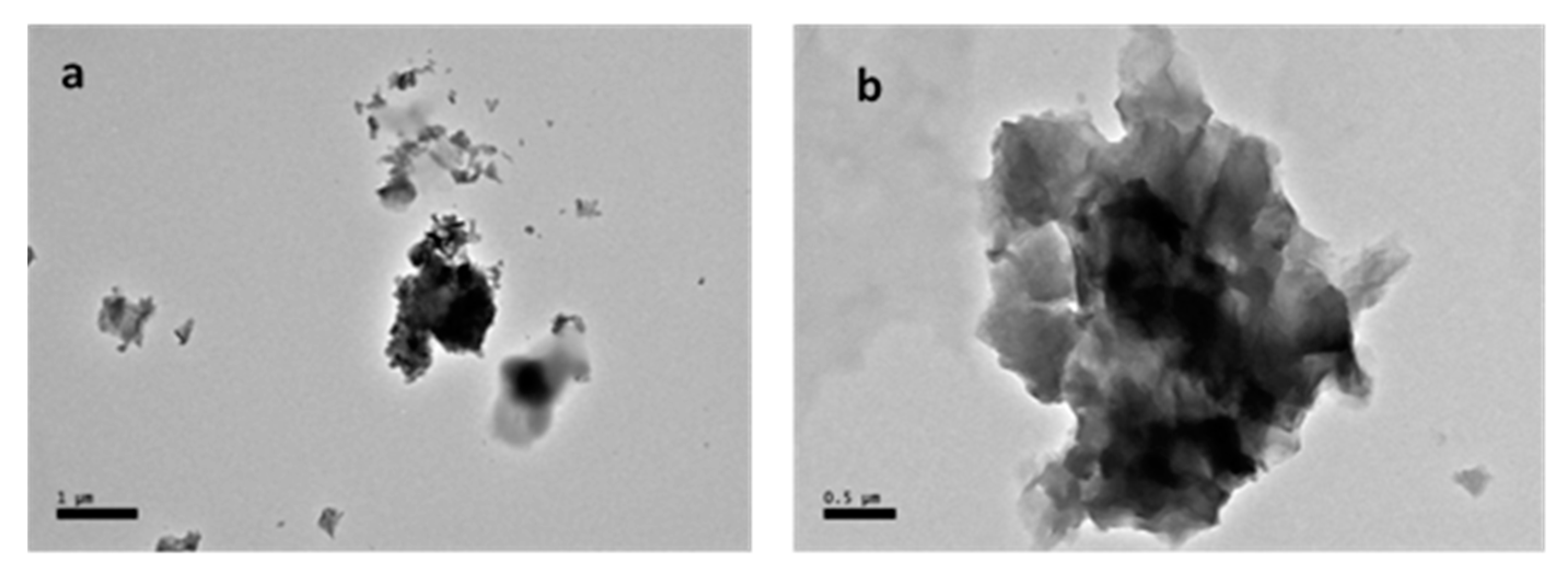 Ijms 21 05874 g001 Ijms 21 05874 g001