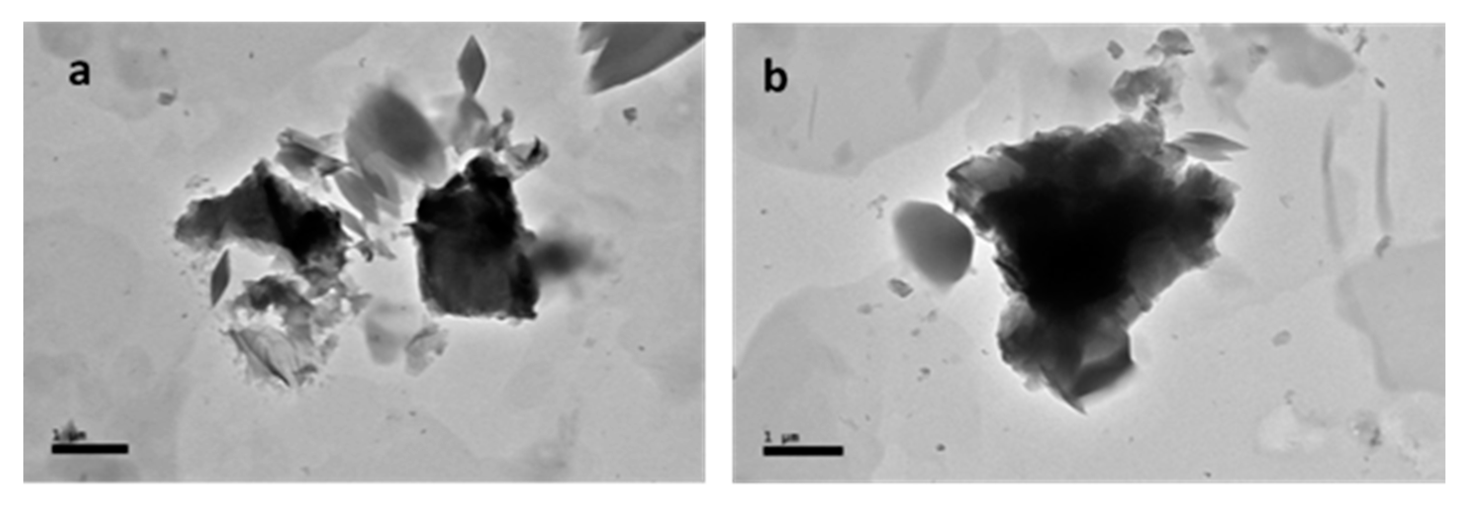 Ijms 21 05874 g002 Ijms 21 05874 g002