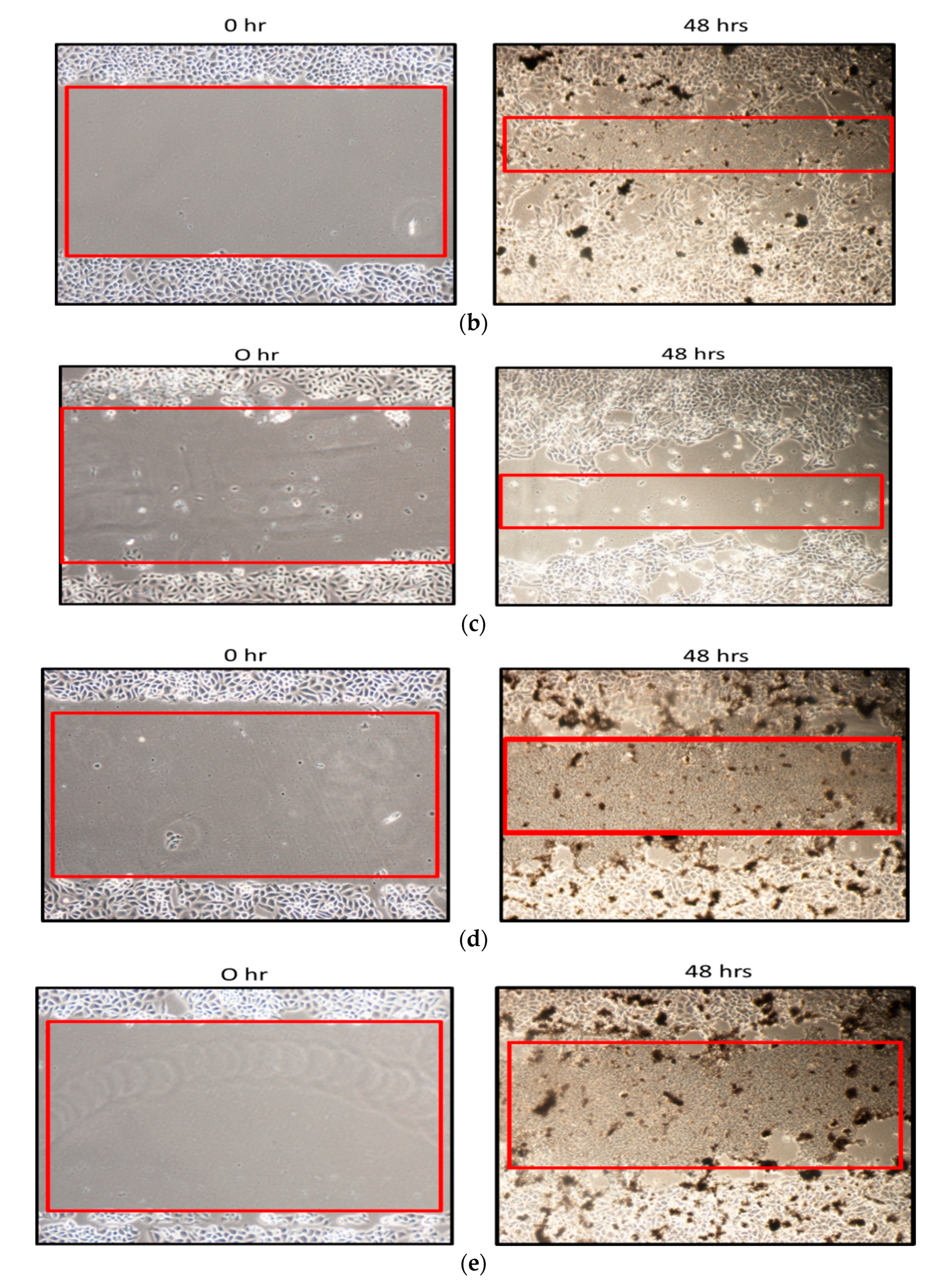 Ijms 21 05874 g014b Ijms 21 05874 g014b