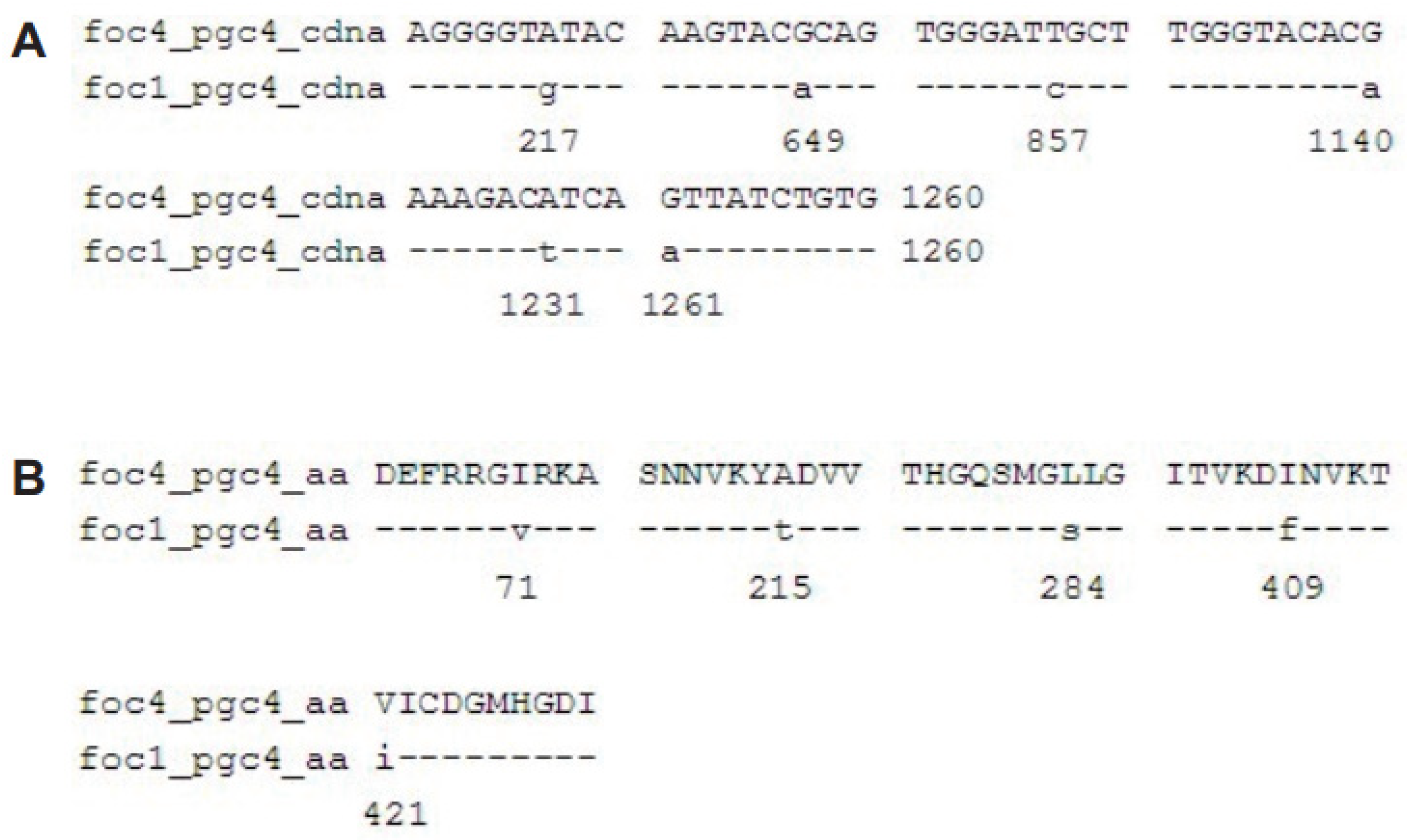 Ijms 21 05886 g002 Ijms 21 05886 g002