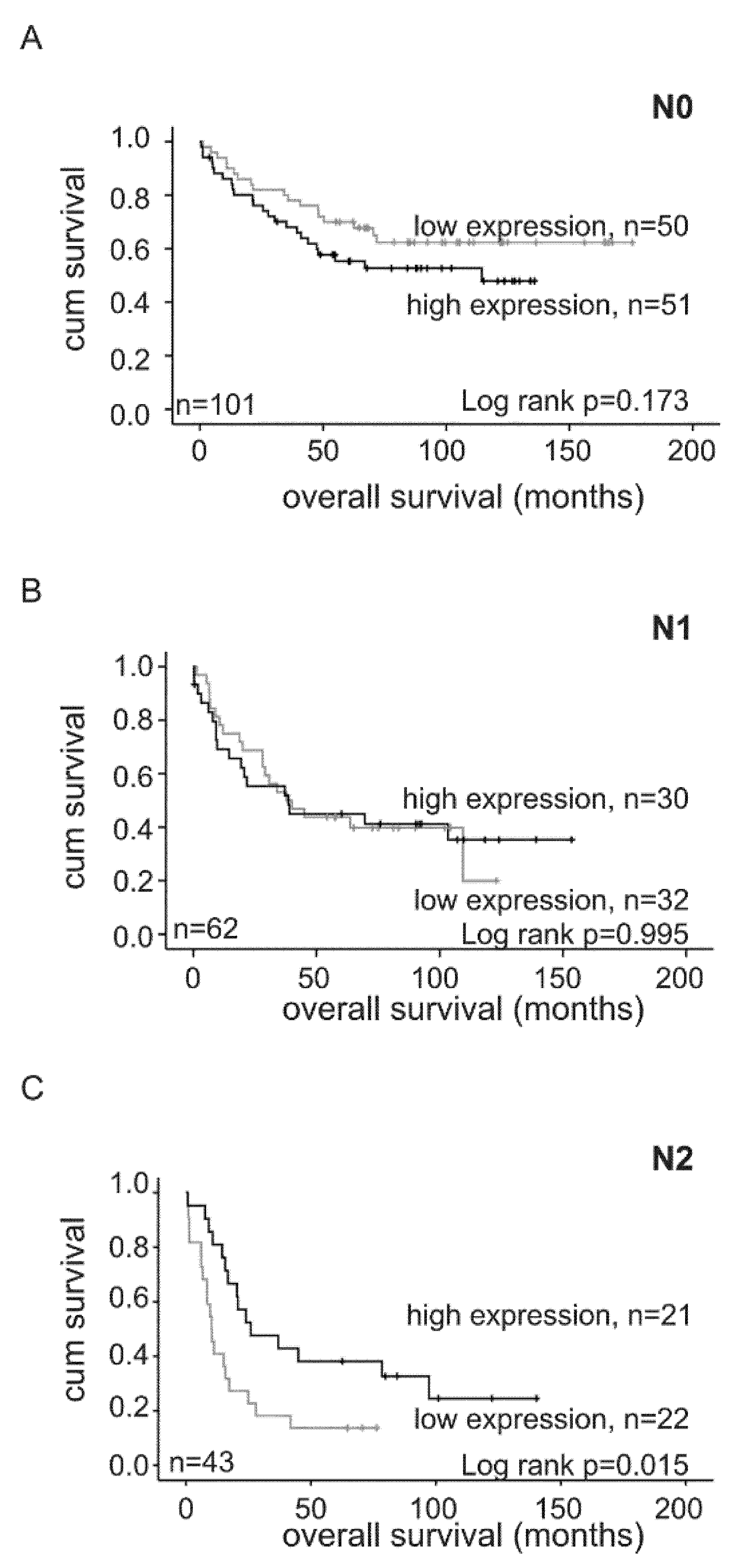 Ijms 21 05894 g005 Ijms 21 05894 g005