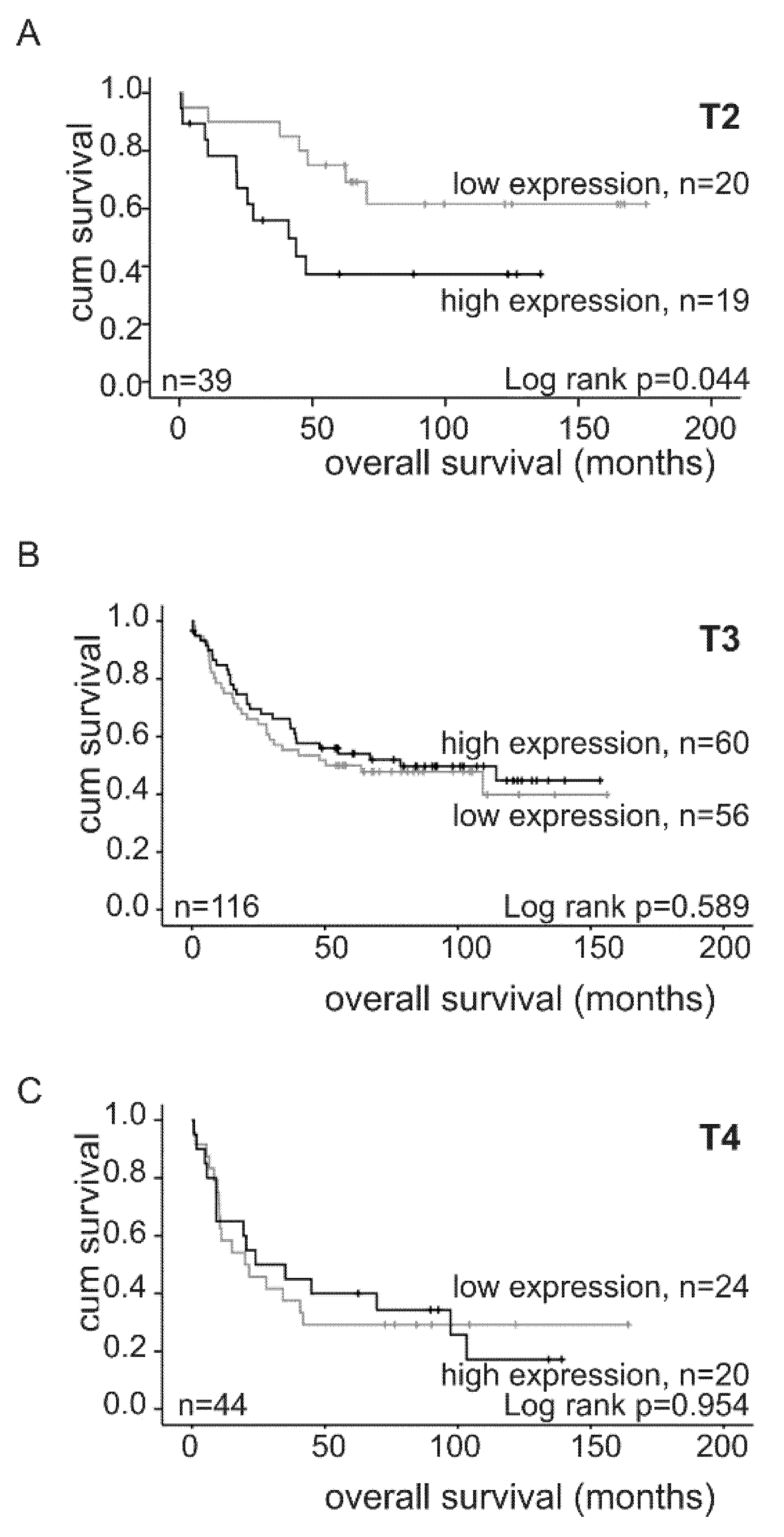 Ijms 21 05894 g006 Ijms 21 05894 g006