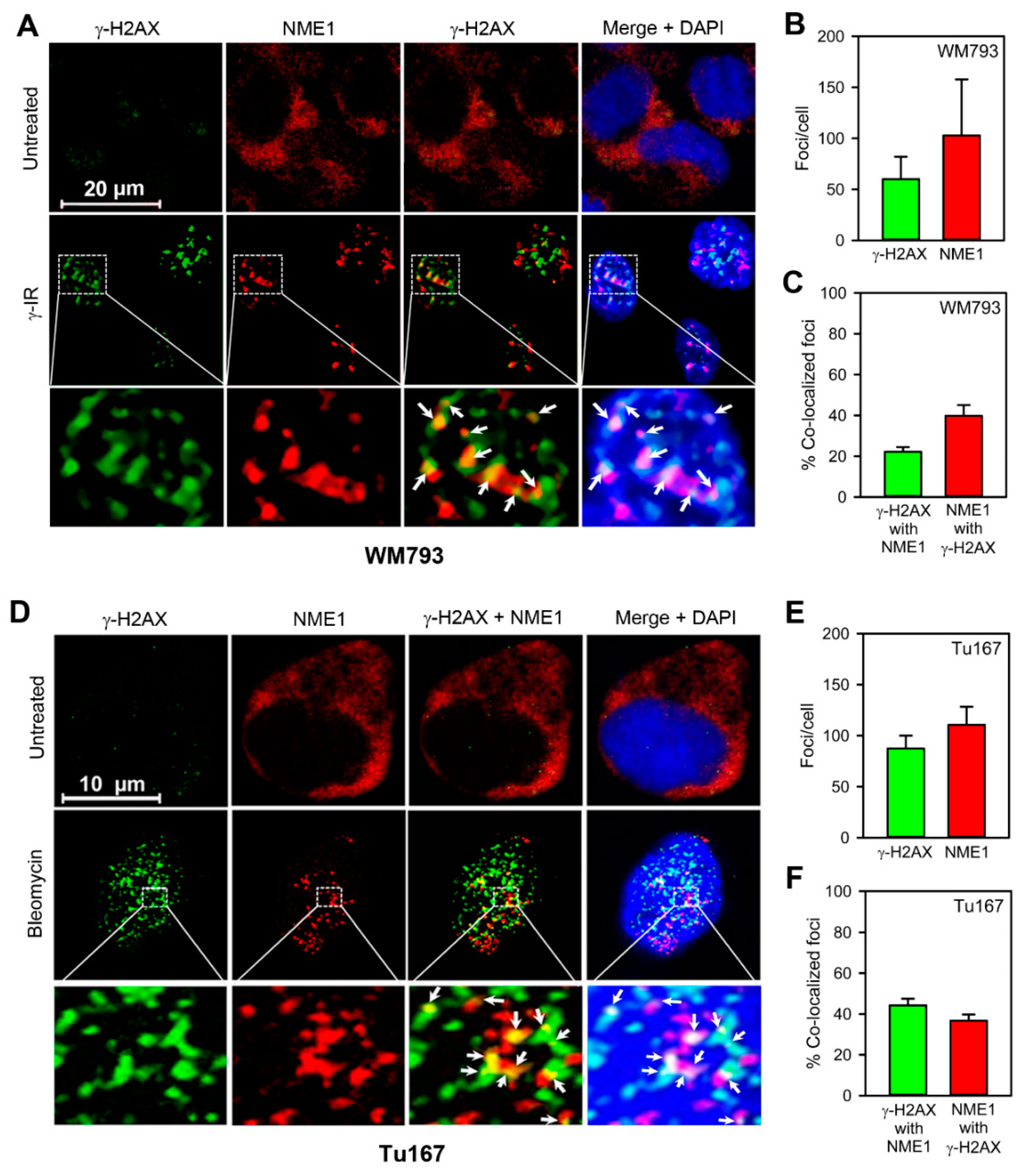 Ijms 21 05896 g001 Ijms 21 05896 g001