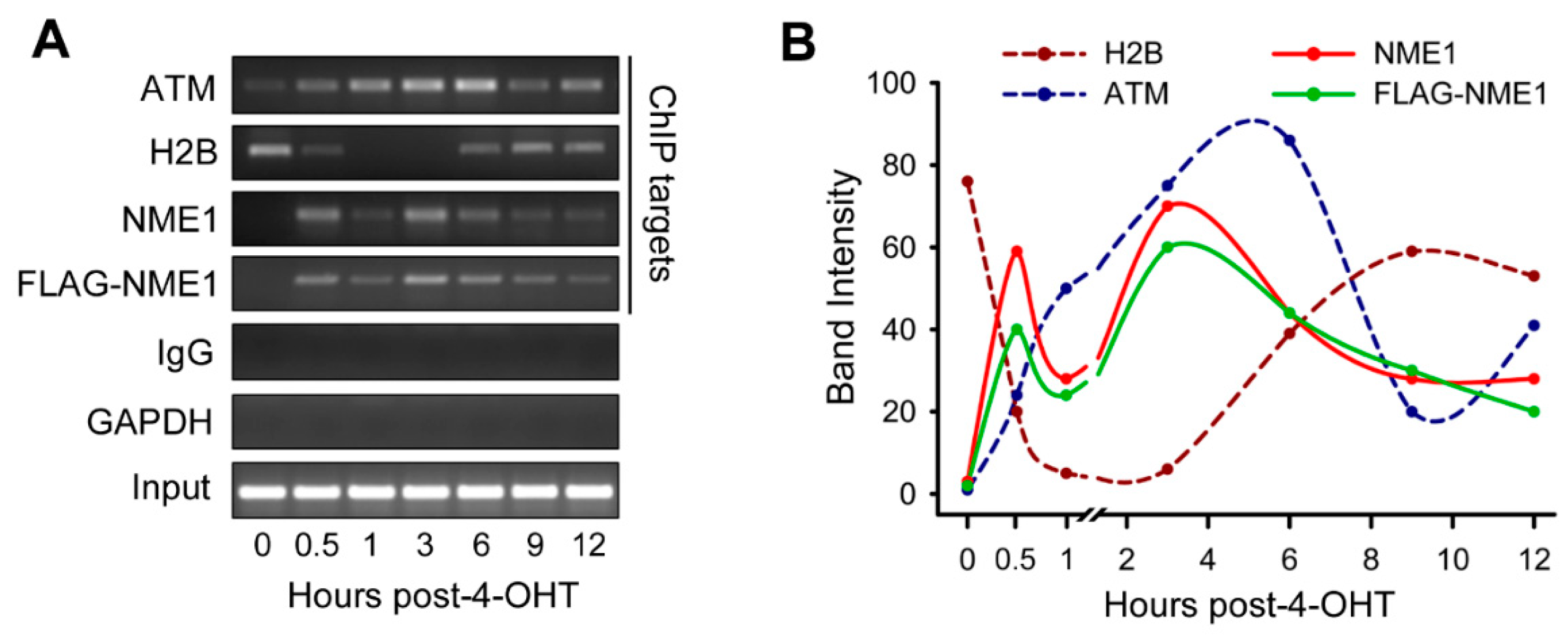 Ijms 21 05896 g002 Ijms 21 05896 g002