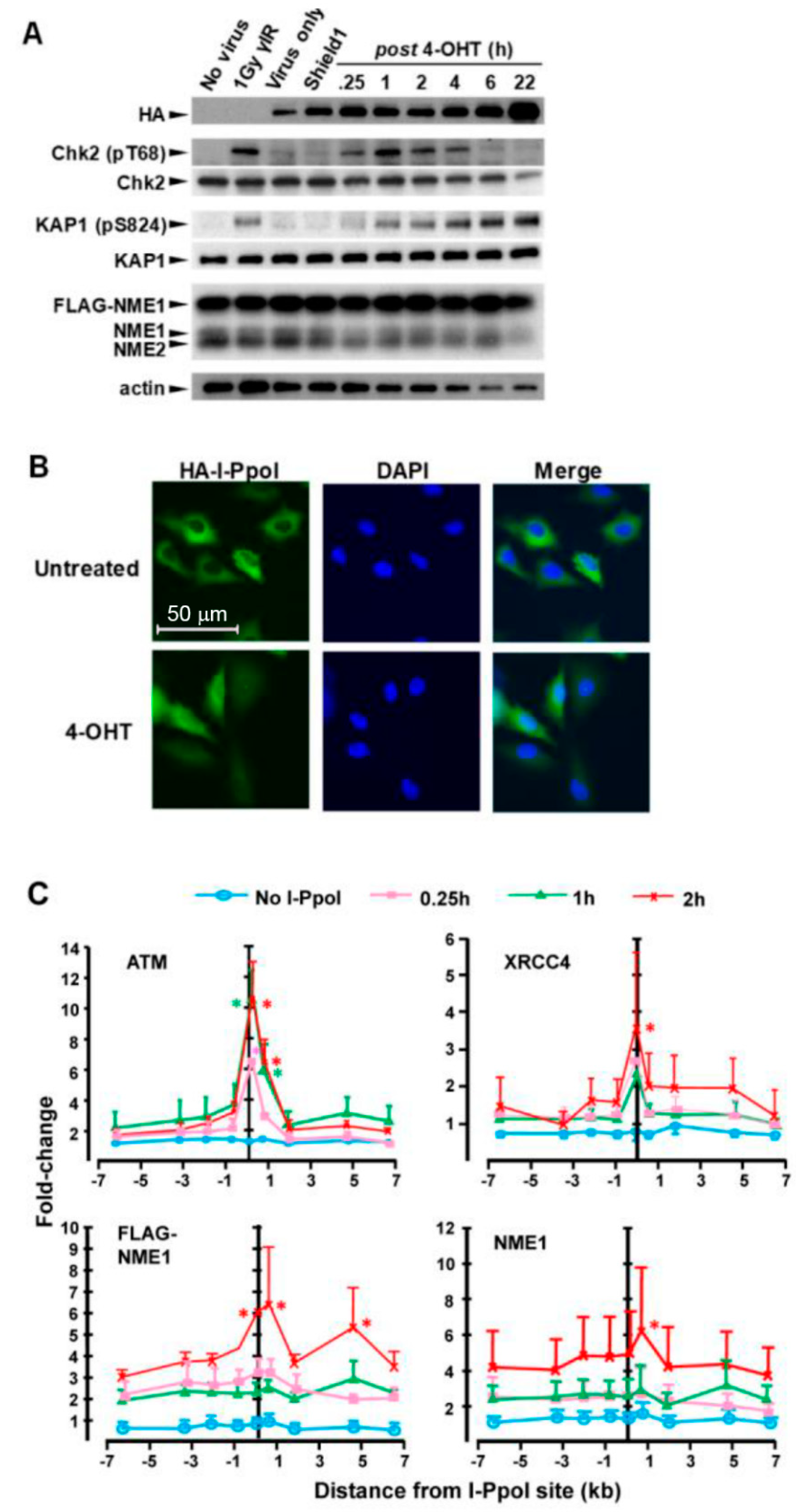 Ijms 21 05896 g003 Ijms 21 05896 g003