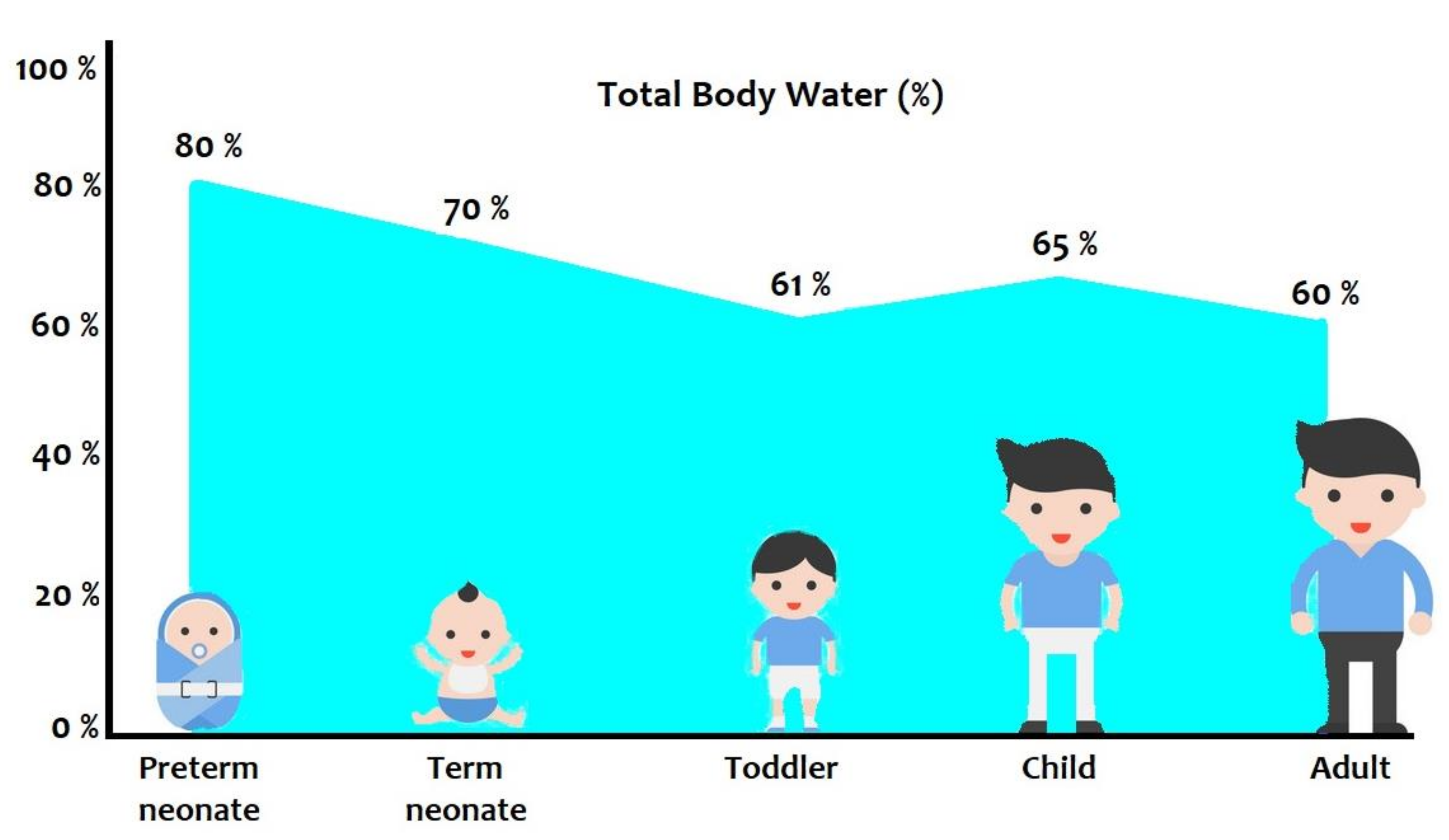 Ijms 21 05898 g001 Ijms 21 05898 g001
