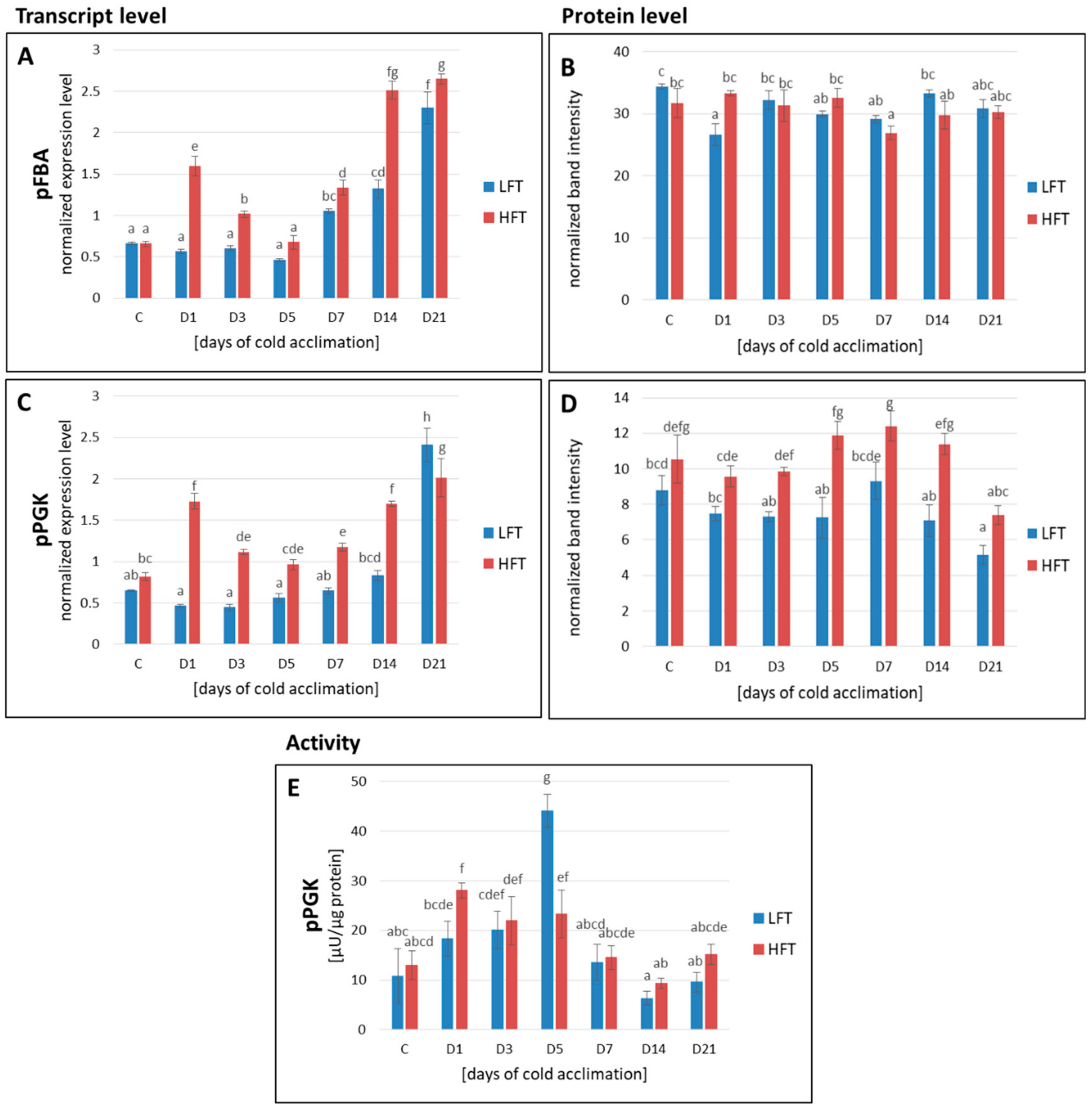Ijms 21 05899 g004 Ijms 21 05899 g004