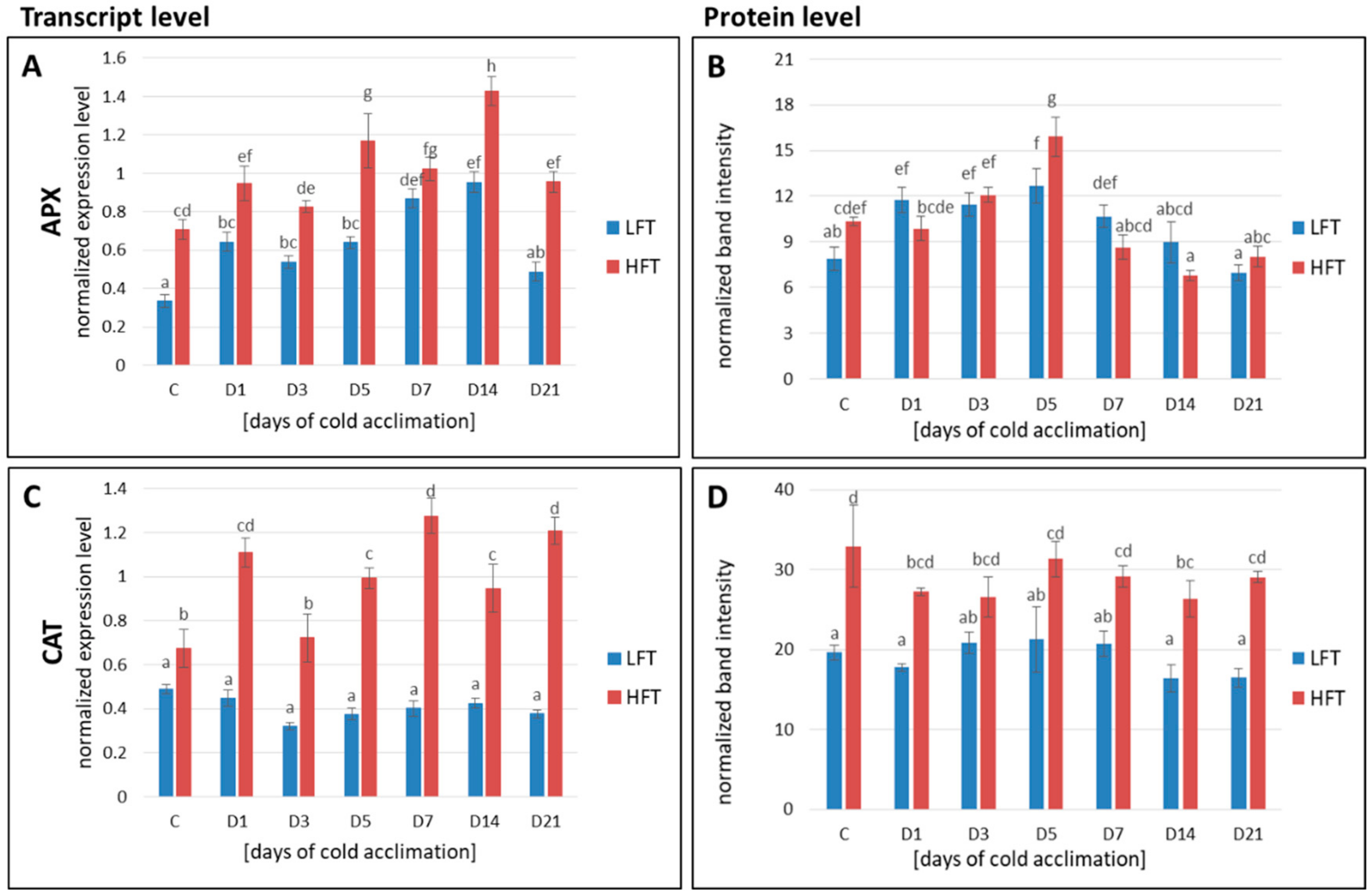Ijms 21 05899 g006a Ijms 21 05899 g006a