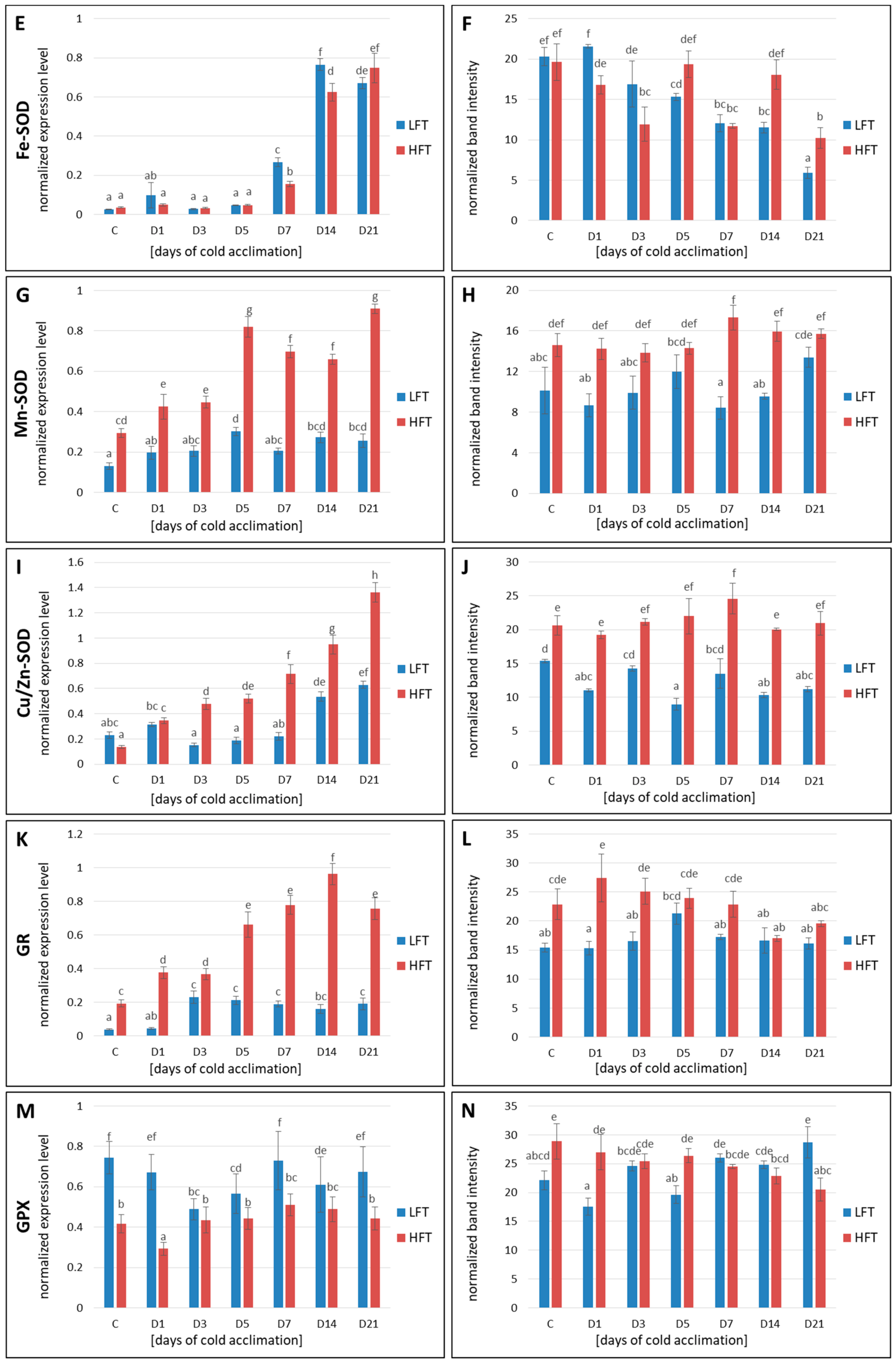 Ijms 21 05899 g006b Ijms 21 05899 g006b